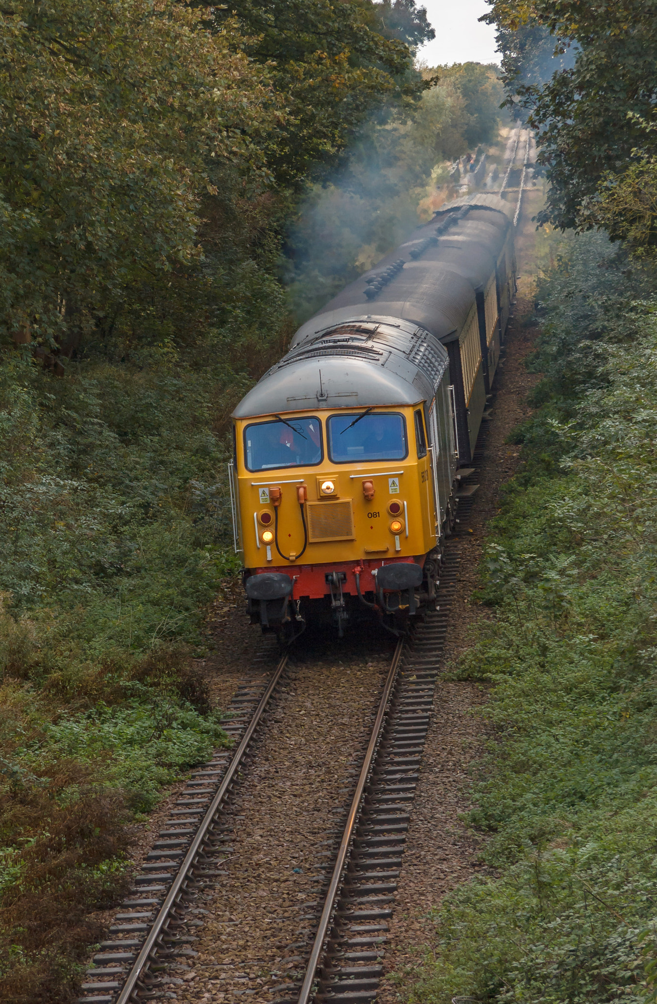 Canon EF-S 17-85mm F4-5.6 IS USM sample photo. British rail class 50 diesel electric photography