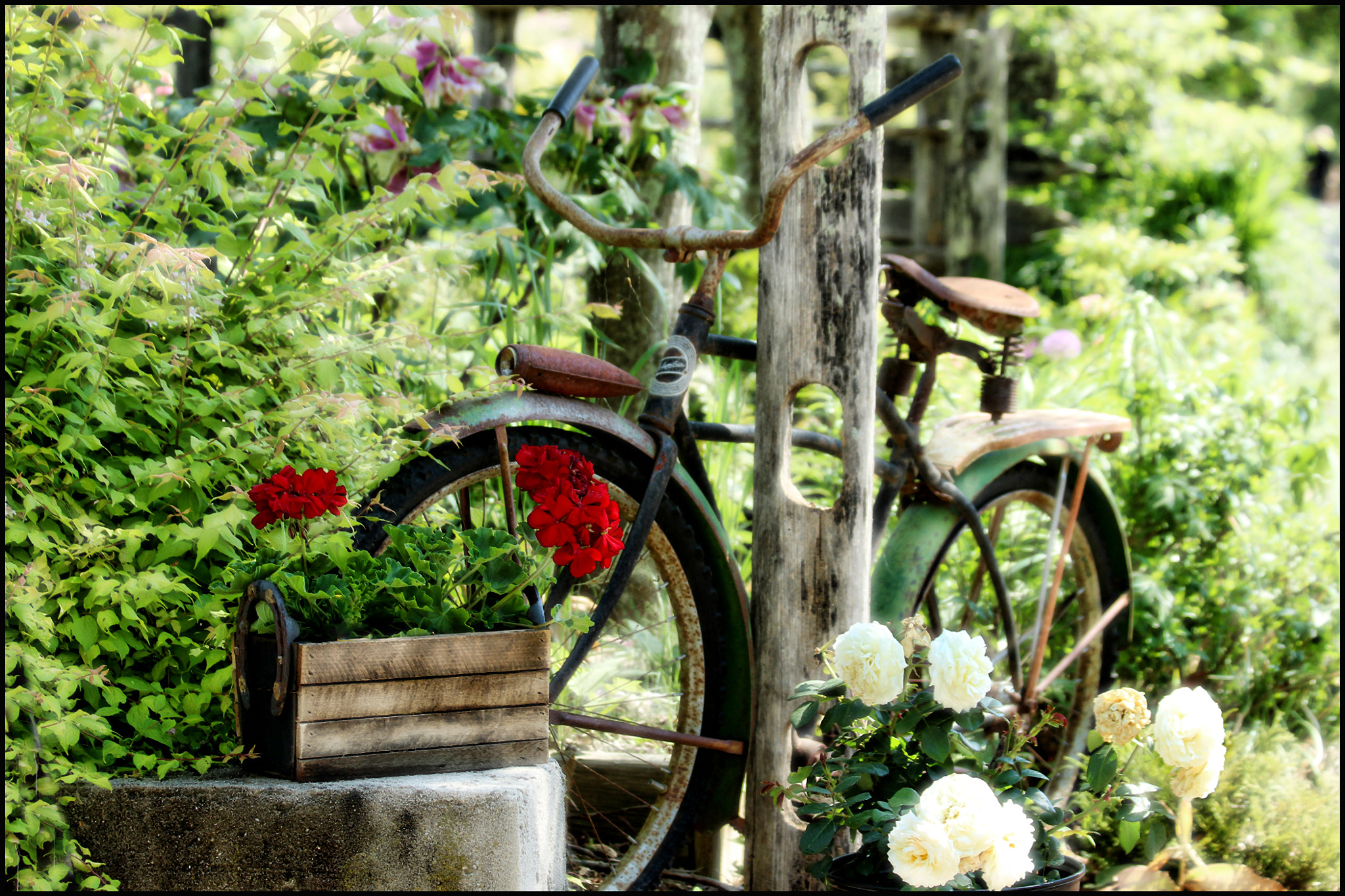 Canon EF 70-300mm F4-5.6 IS USM sample photo. Bicycle.... photography