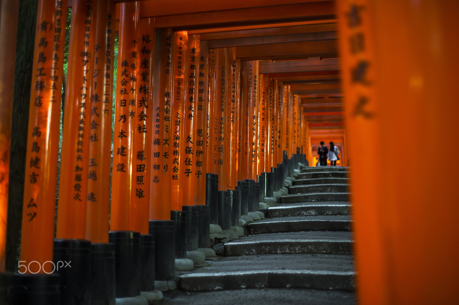 Nikon D3S + ZEISS Planar T* 50mm F1.4 sample photo. 伏见稻荷大社 photography