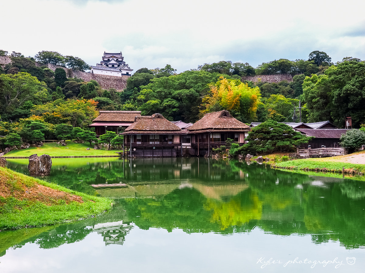 Olympus Zuiko Digital 14-54mm F2.8-3.5 II sample photo. 彥根城 photography