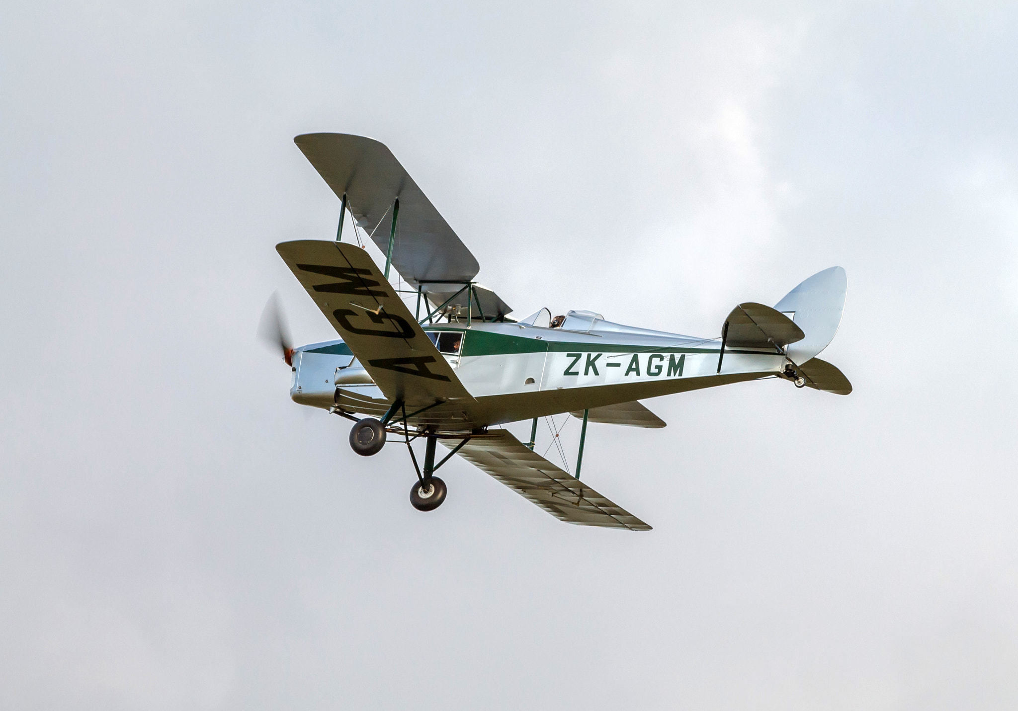 Canon EF 70-300mm F4-5.6 IS USM sample photo. Dh fox moth photography