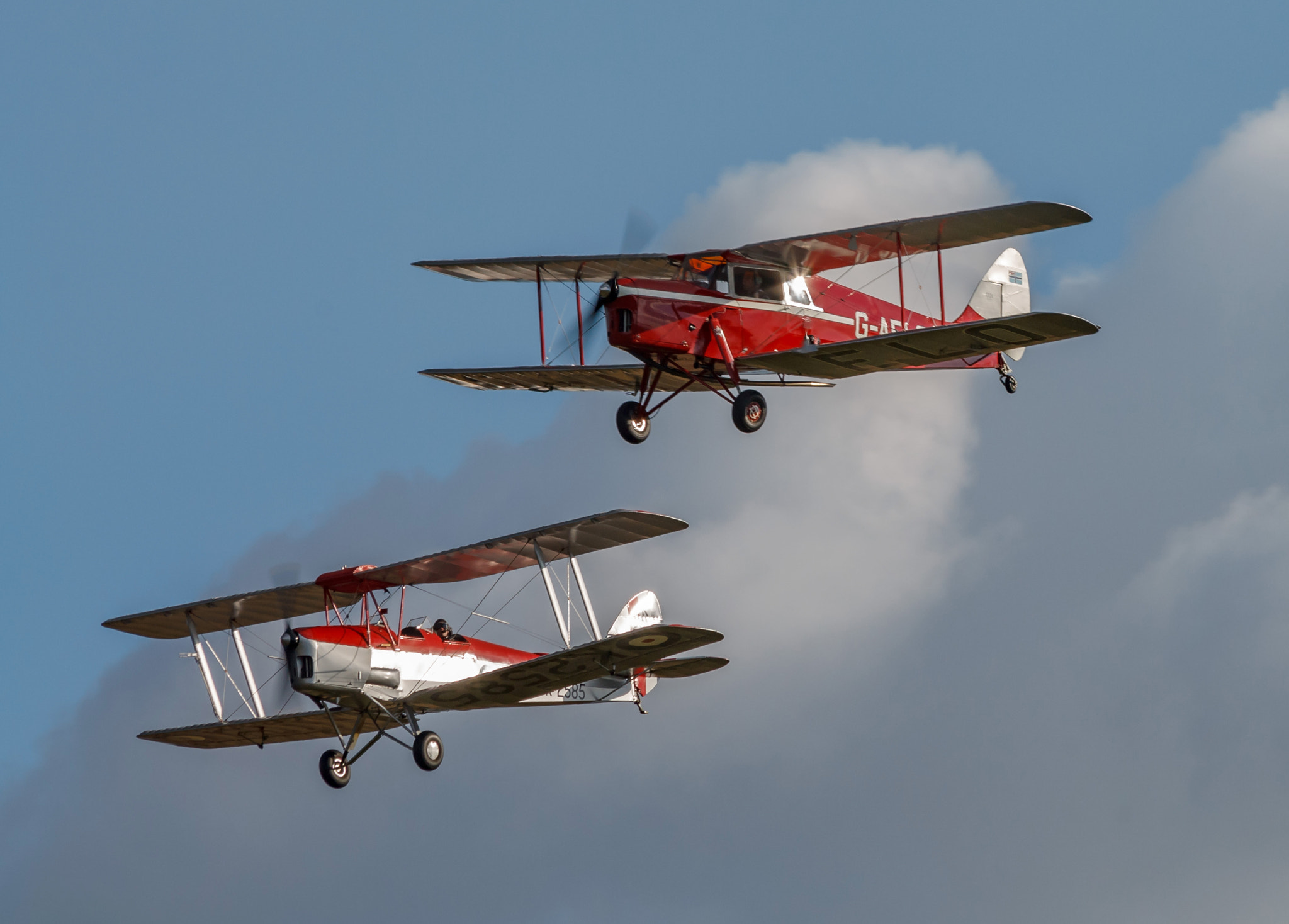 Canon EF 70-300mm F4-5.6 IS USM sample photo. Dh tiger and hornet moths photography
