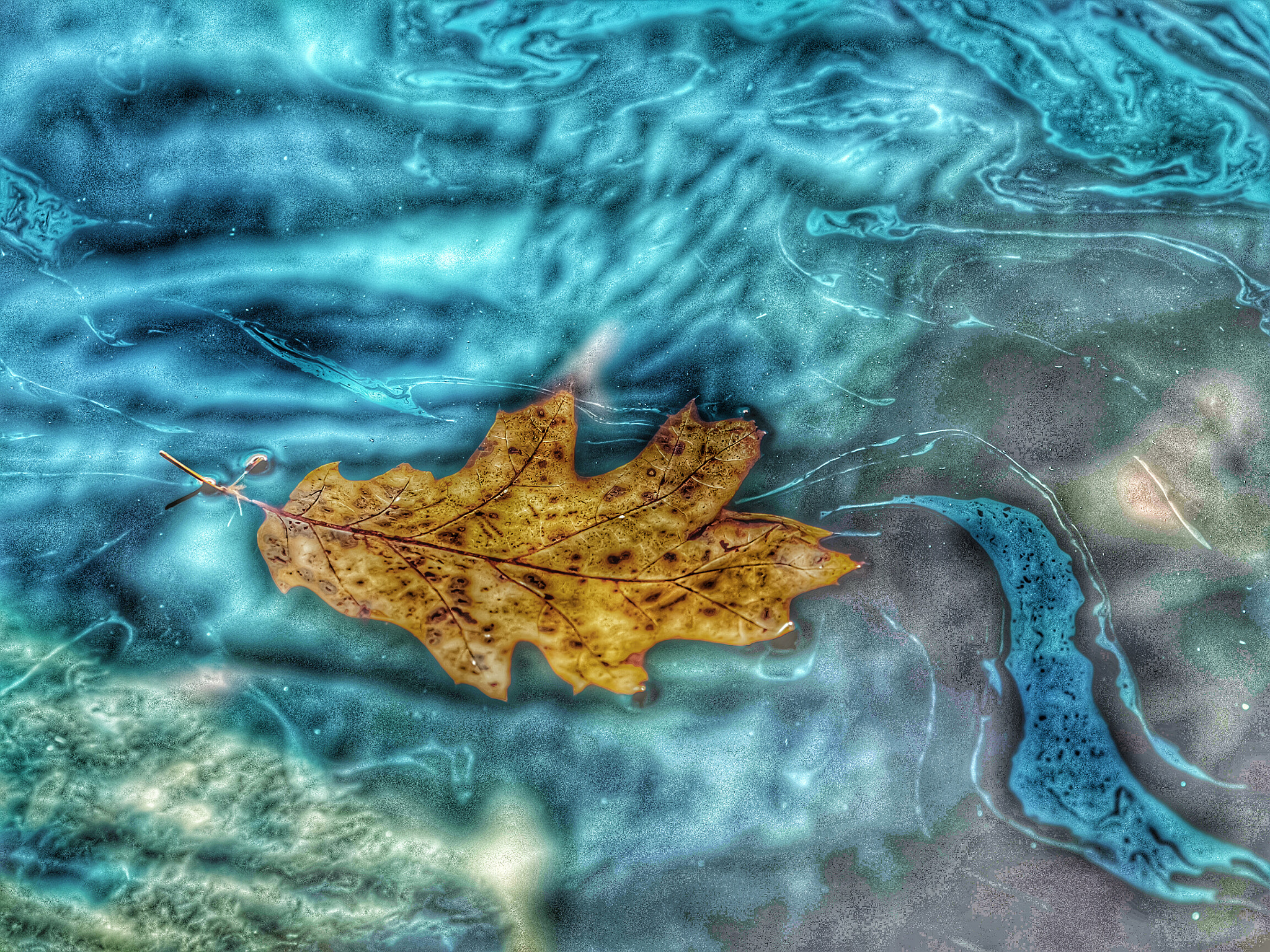 Olympus OM-D E-M5 + Olympus M.Zuiko Digital ED 75mm F1.8 sample photo. Nature abstract in fall photography
