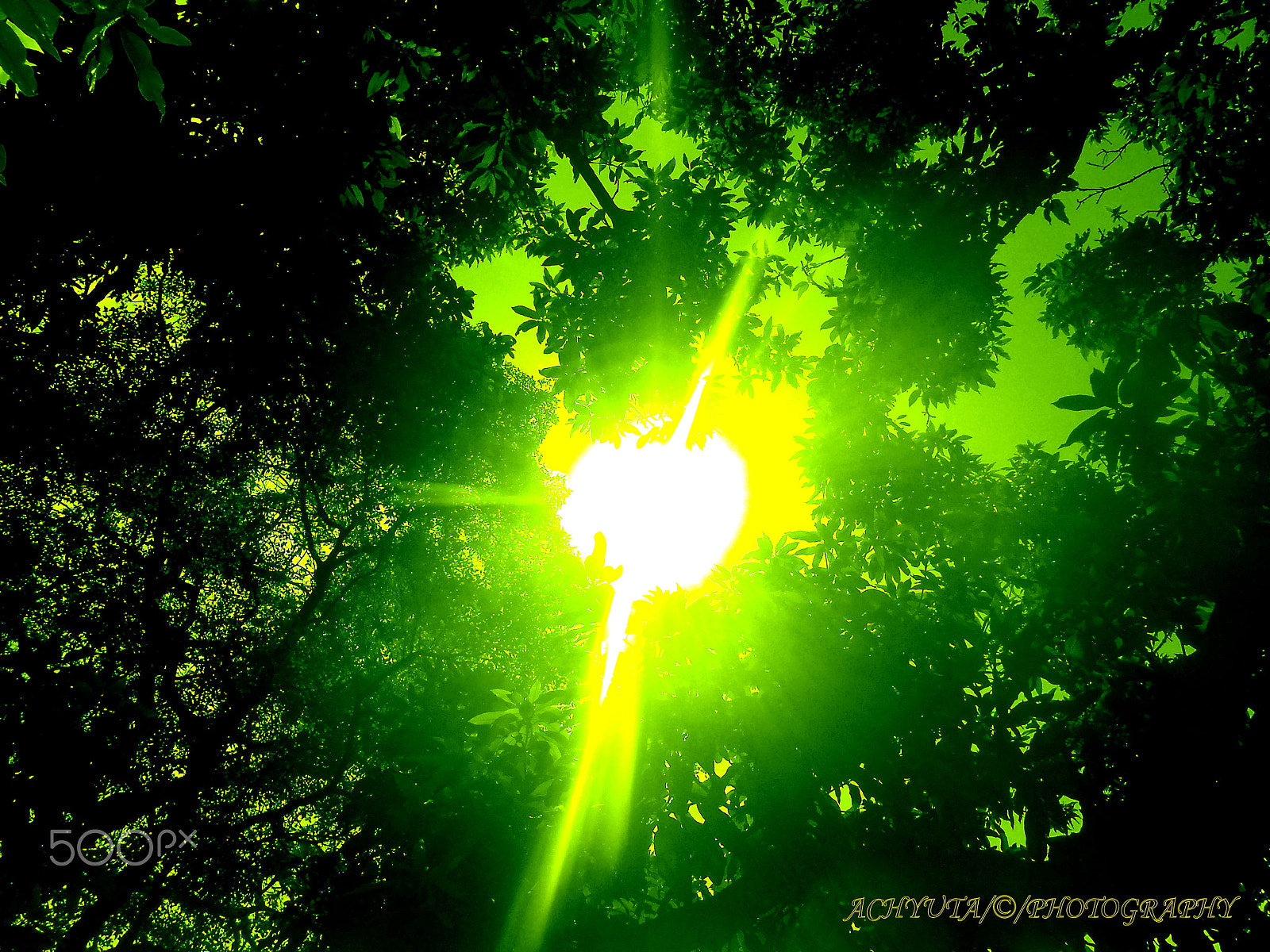 Nikon COOLPIX S3200 sample photo. Sun shines. photography