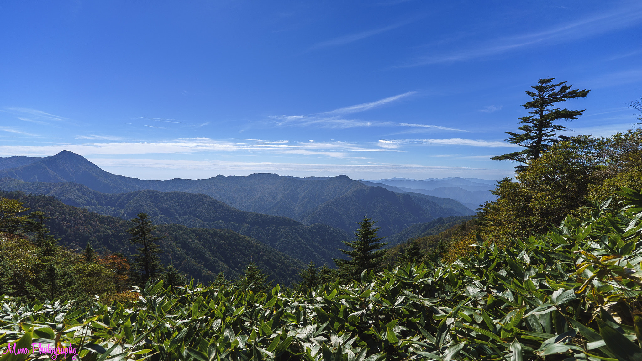 E 18mm F2.8 sample photo. Mountains of sasa bamboo photography