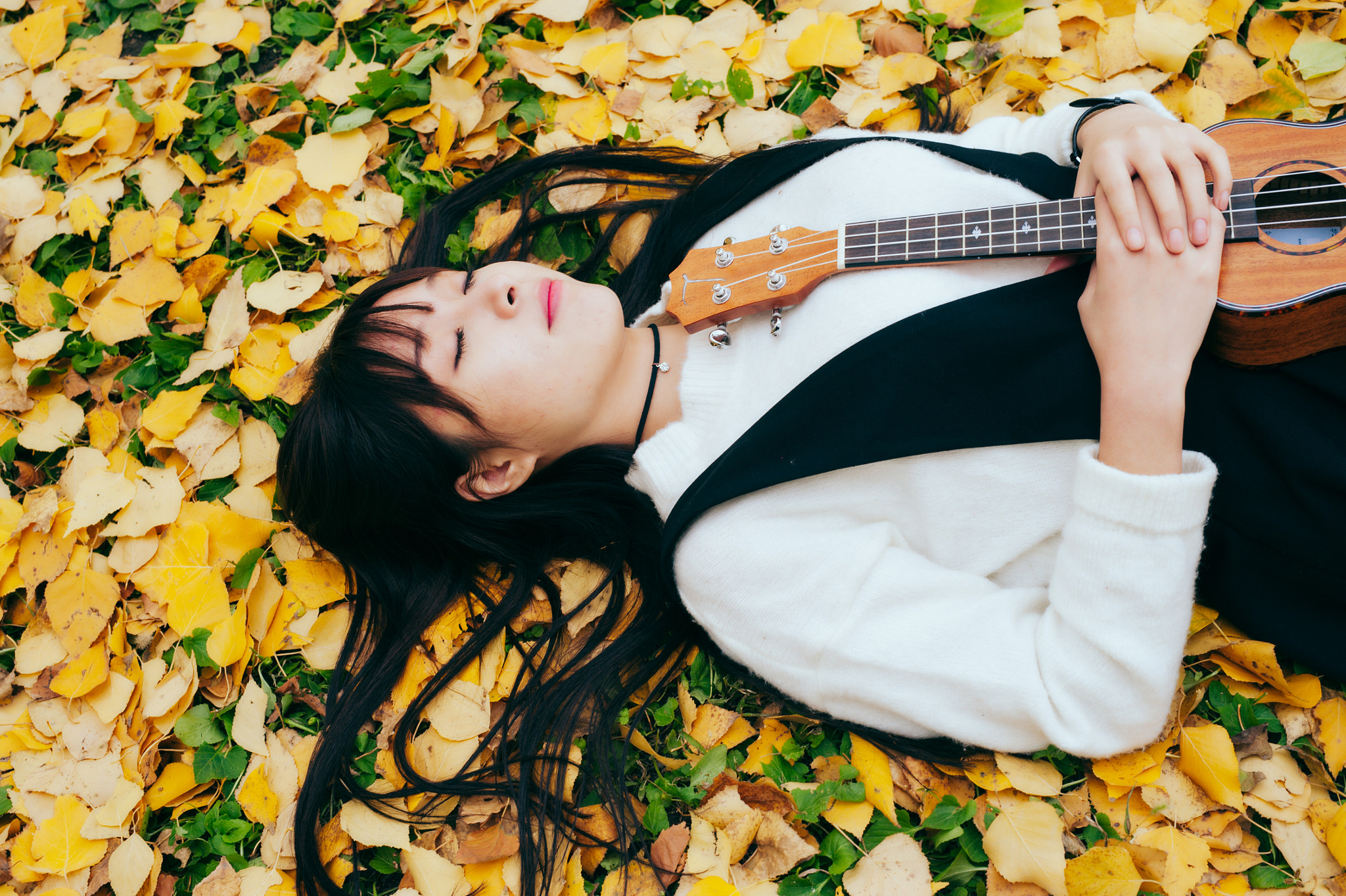 Nikon D700 + Sigma 50mm F1.4 DG HSM Art sample photo. 美丽的秋天 photography