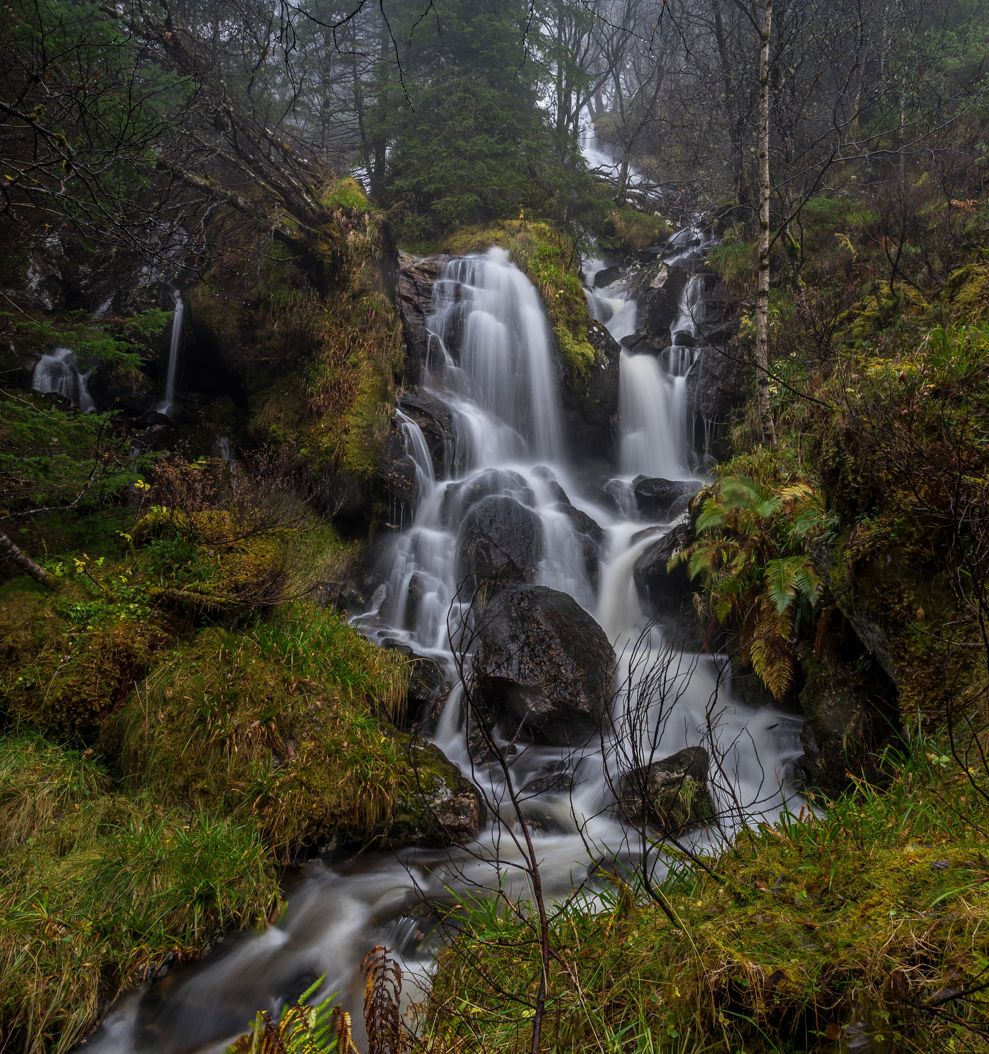 Sony a7 II + Canon EF 17-40mm F4L USM sample photo. Rainy day photography