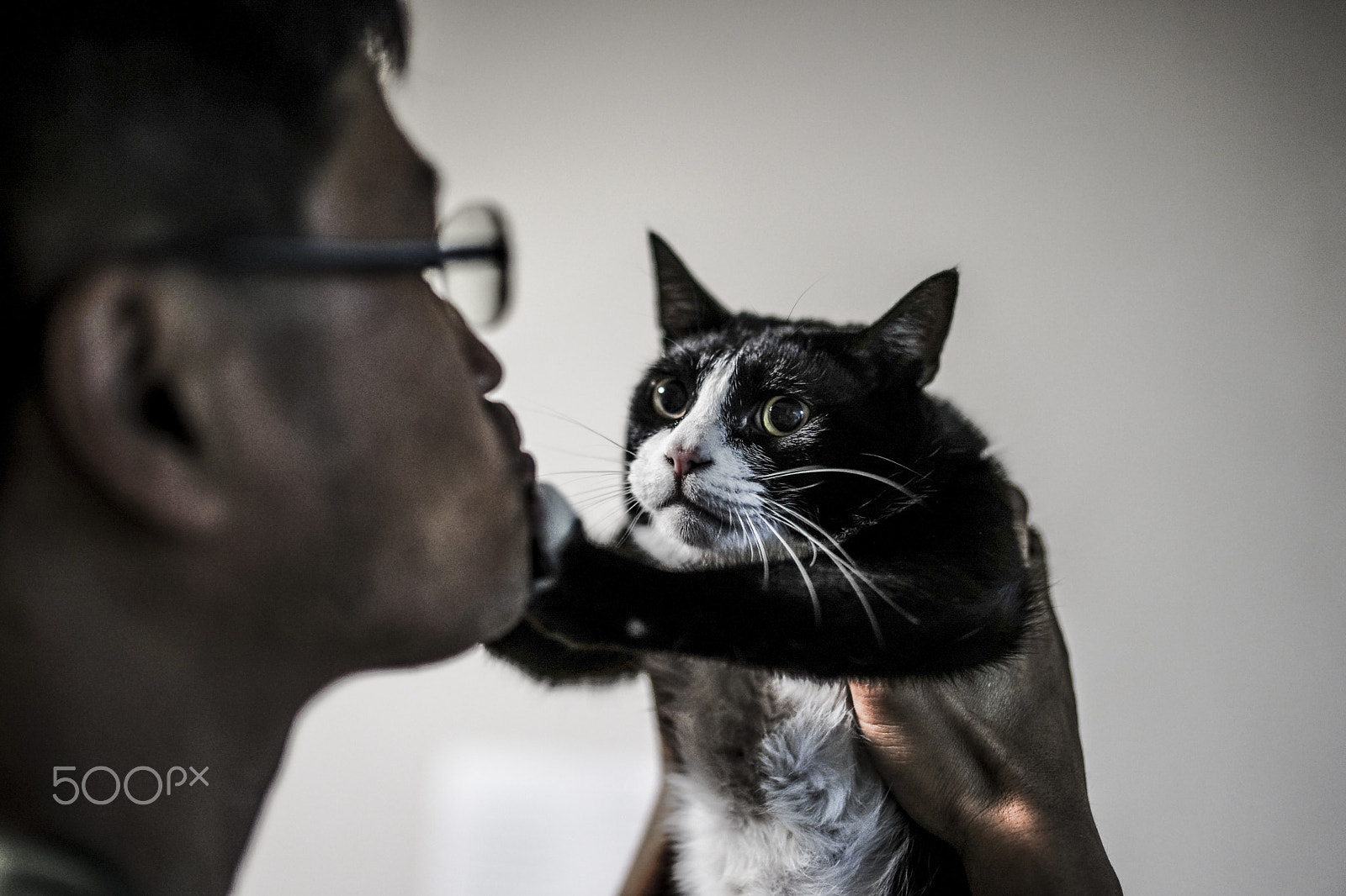 Sony Planar T* 50mm F1.4 ZA SSM sample photo. Help! this guy is drunken! photography