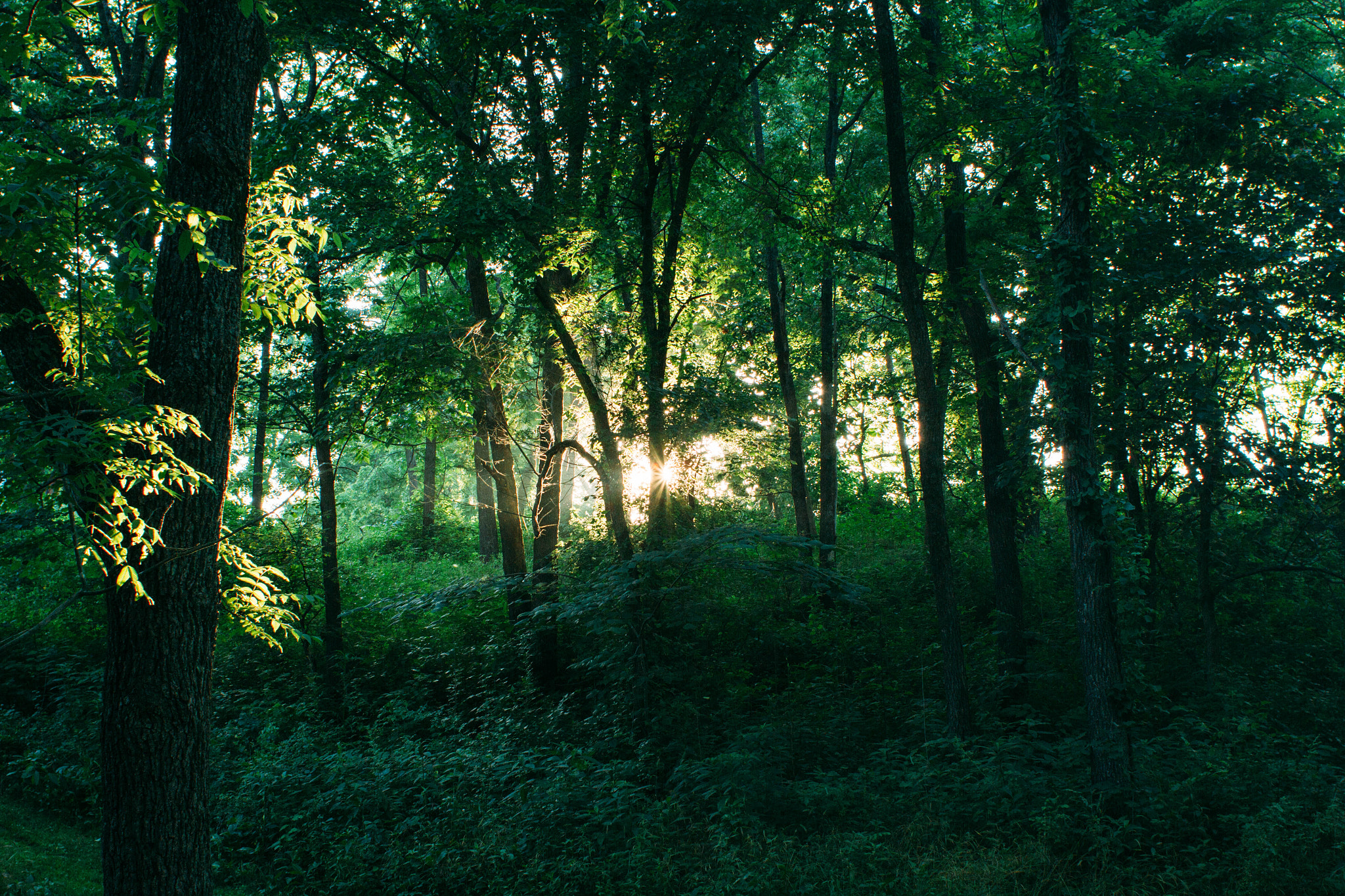 Canon EOS 7D + Canon EF 28mm F1.8 USM sample photo. Missouri photography