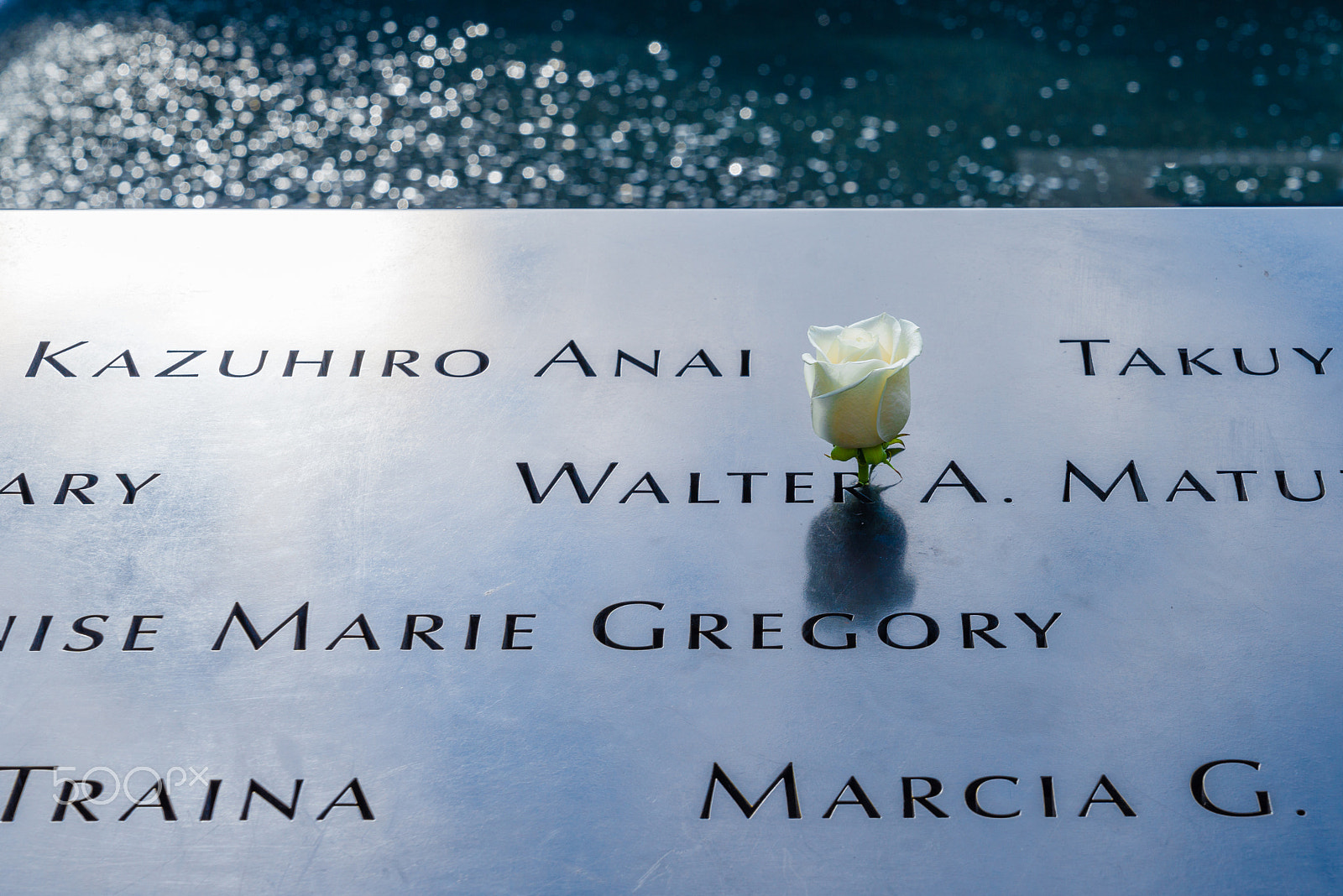 Sony a7R sample photo. 911 memorial inscriptions and a solitary rose photography