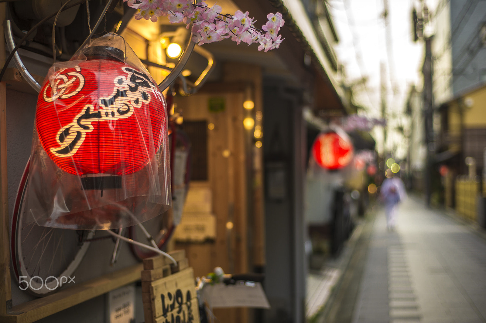 Nikon D3S + ZEISS Planar T* 50mm F1.4 sample photo. Kyoto street photography