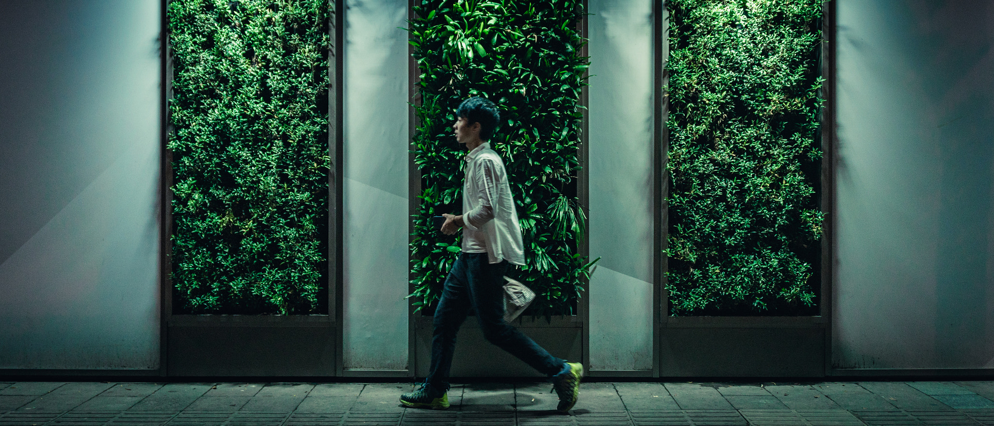 Sony E 16-50mm F3.5-5.6 PZ OSS sample photo