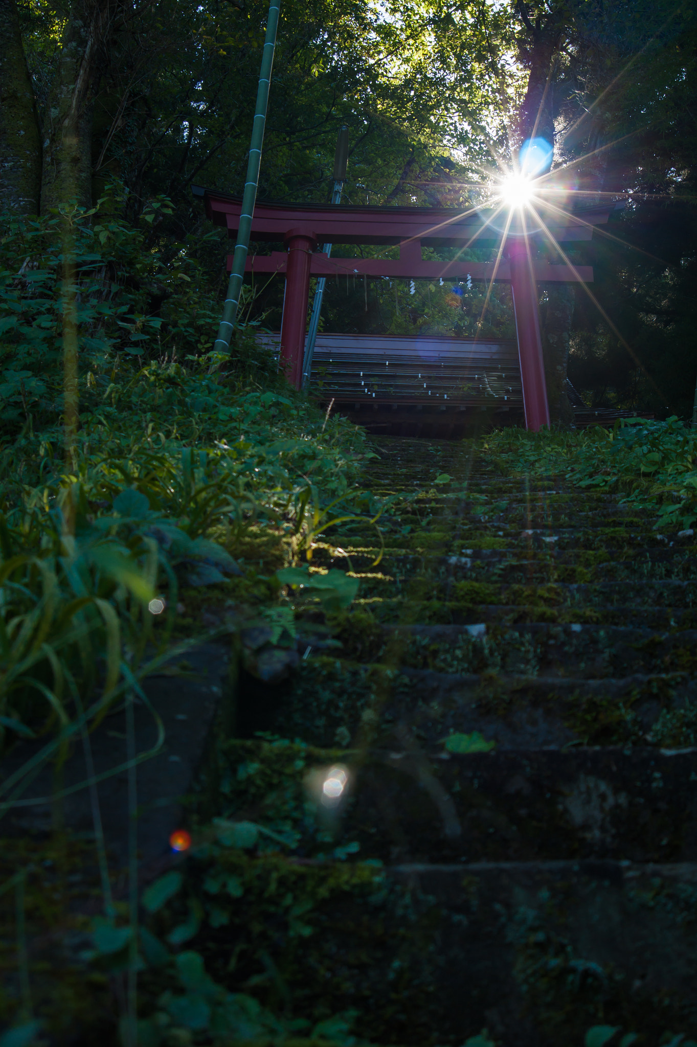 Minolta AF 35-105mm F3.5-4.5 New sample photo. Shining shrine photography