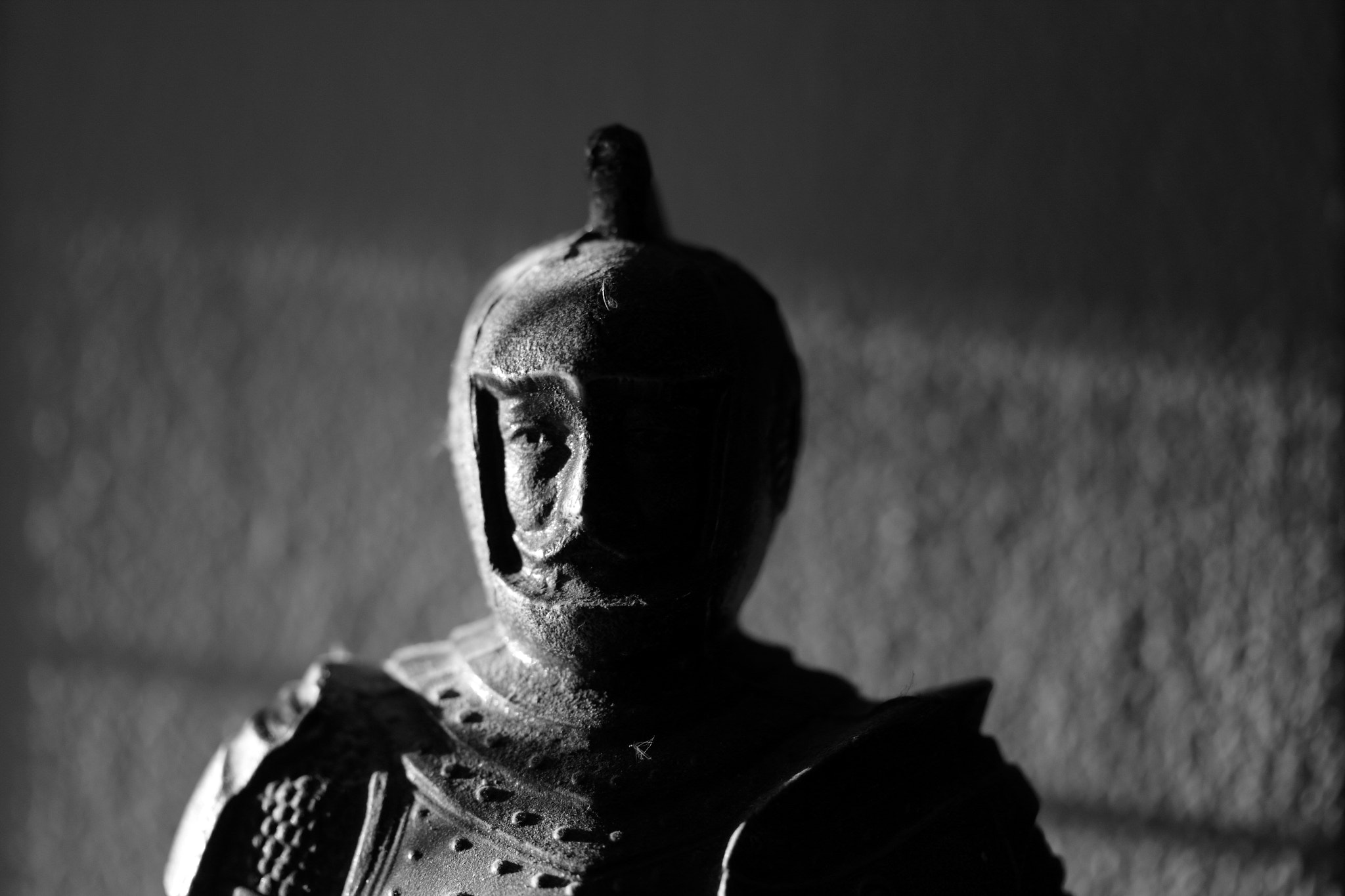 Canon EF-S 60mm F2.8 Macro USM sample photo. C h i v a l r y photography