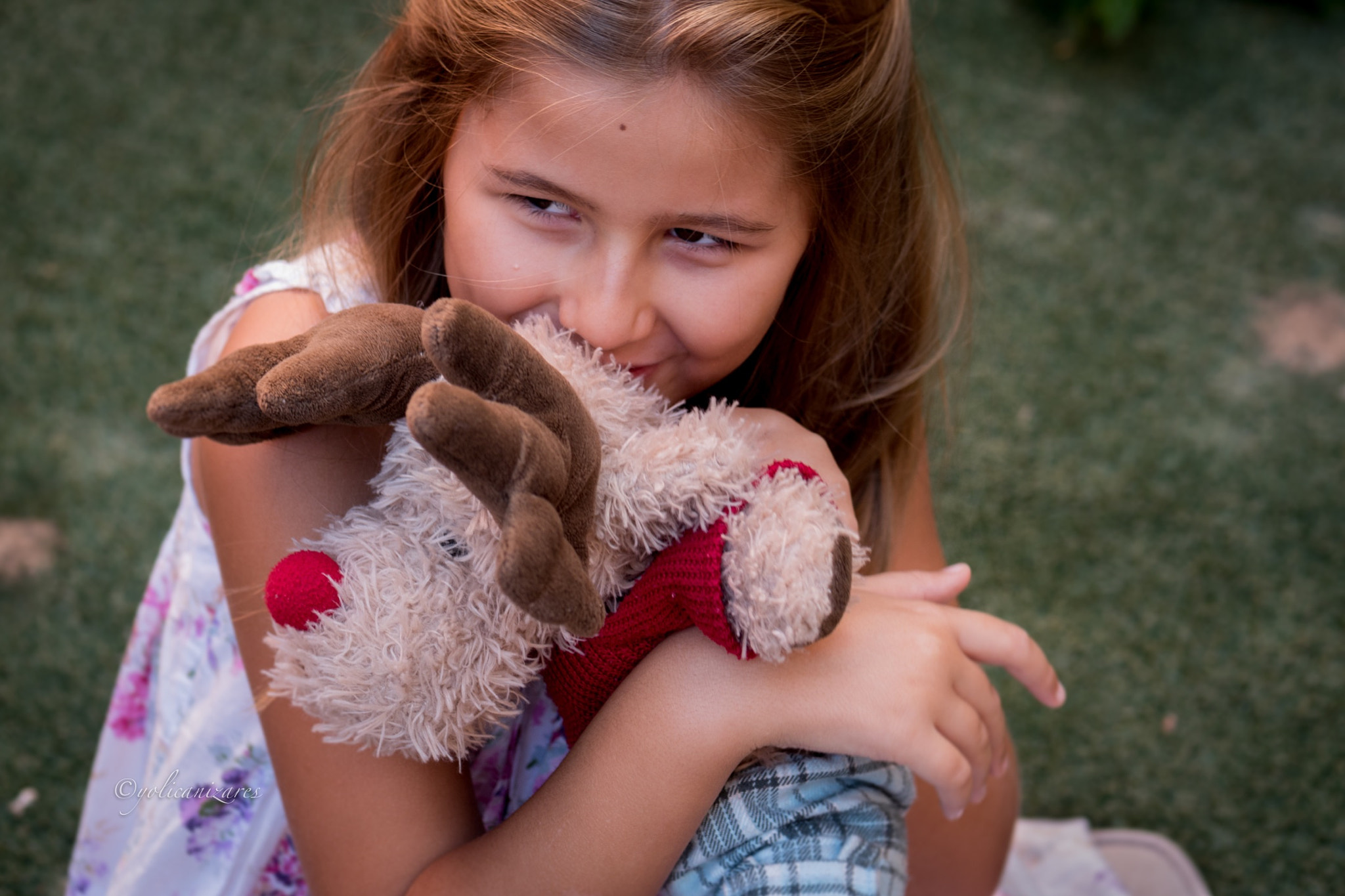 Panasonic Lumix G 42.5mm F1.7 ASPH Power OIS sample photo. Peluche photography
