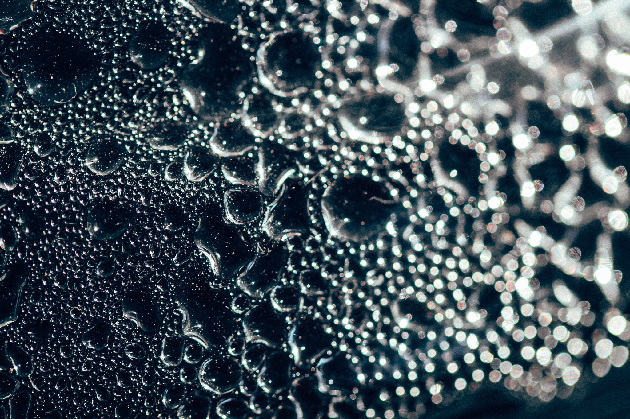 Canon EF-S 60mm F2.8 Macro USM sample photo. F i z z photography