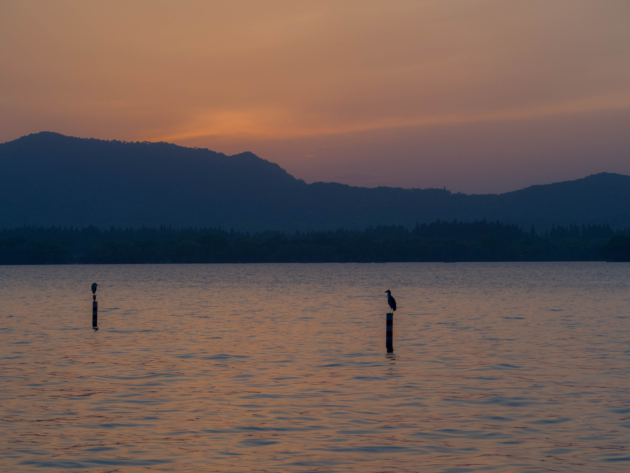 Panasonic Lumix G X Vario 35-100mm F2.8 OIS sample photo. Watch the sunset together with you photography