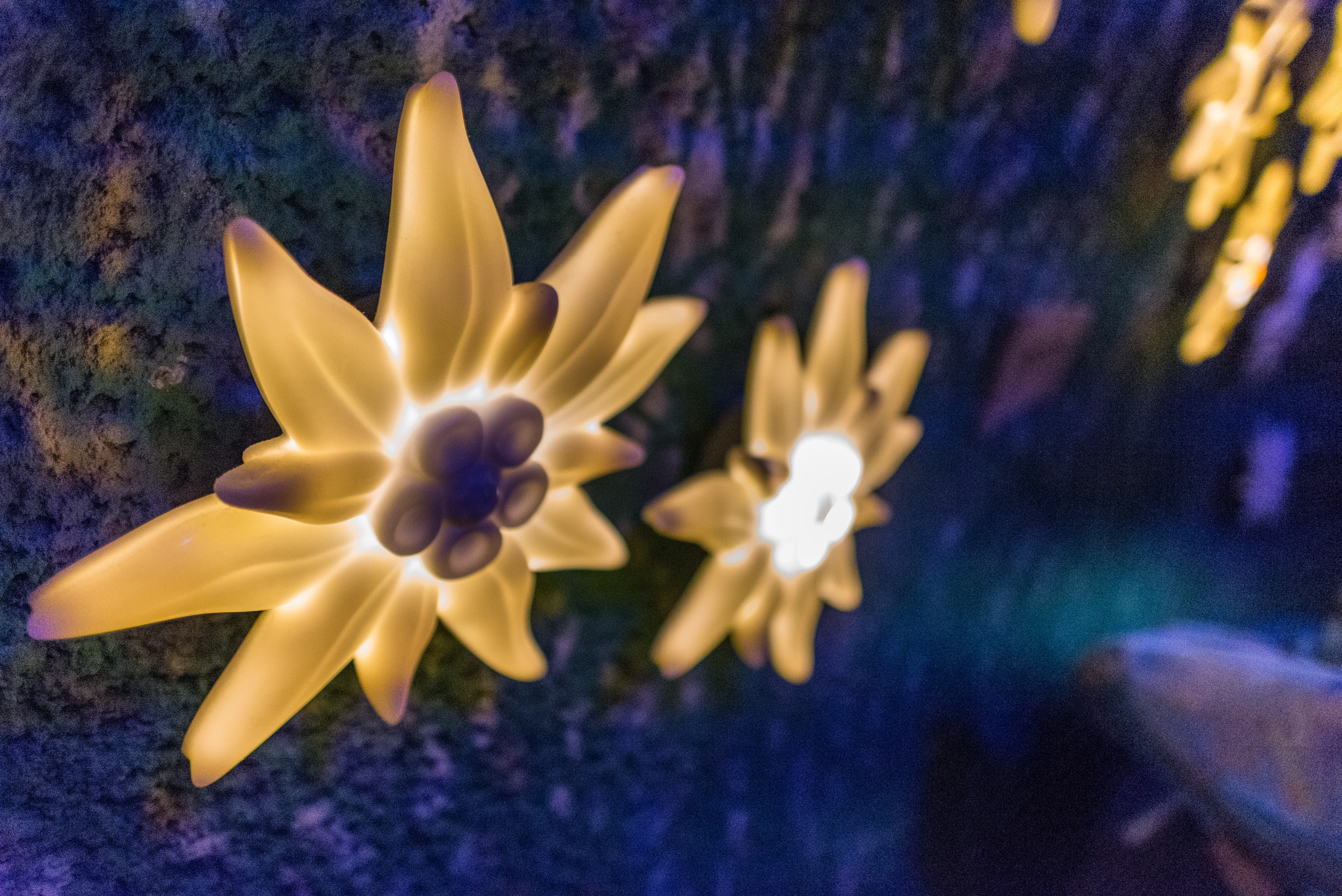 Nikon D750 + Nikon AF-S Nikkor 24mm F1.4G ED sample photo. Inside jungfraujoch photography