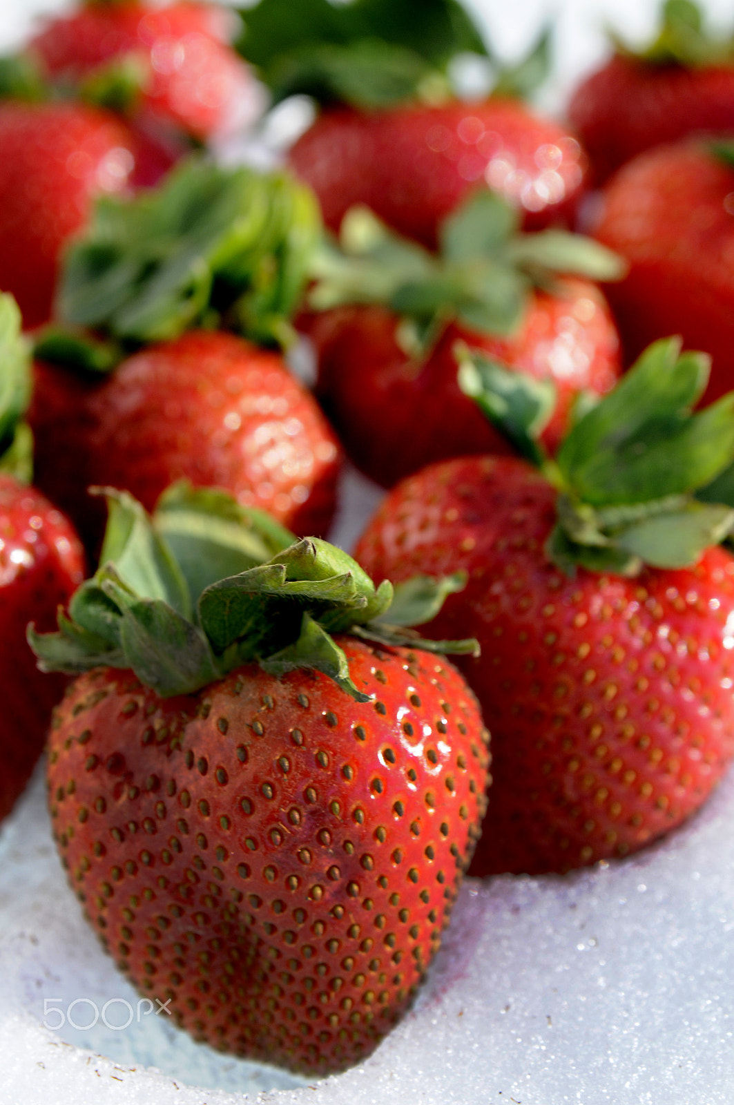 Nikon AF Nikkor 24-85mm F2.8-4D IF sample photo. Strawberries -5 photography