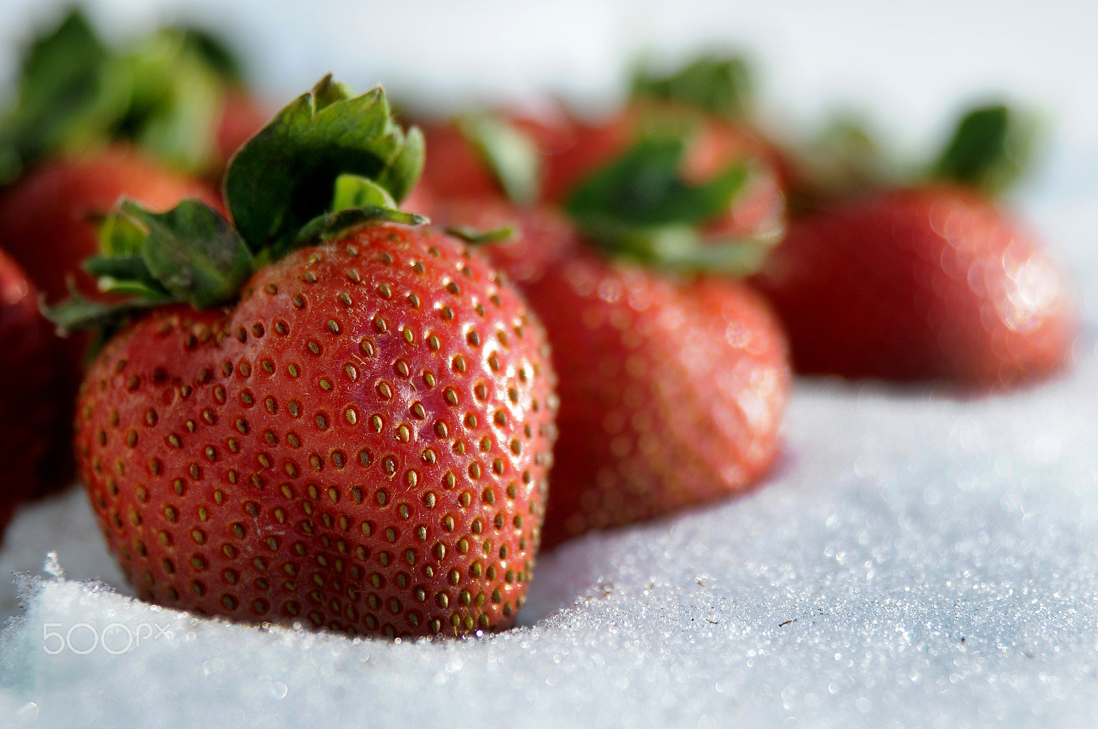 Nikon AF Nikkor 24-85mm F2.8-4D IF sample photo. Strawberries -2 photography