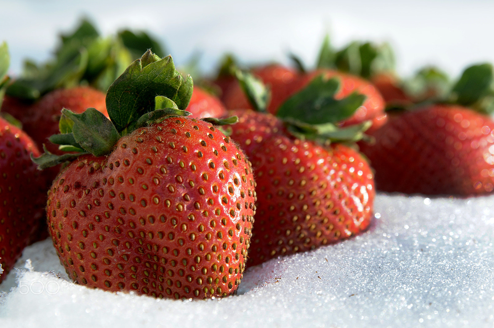 Nikon AF Nikkor 24-85mm F2.8-4D IF sample photo. Strawberries -4 photography