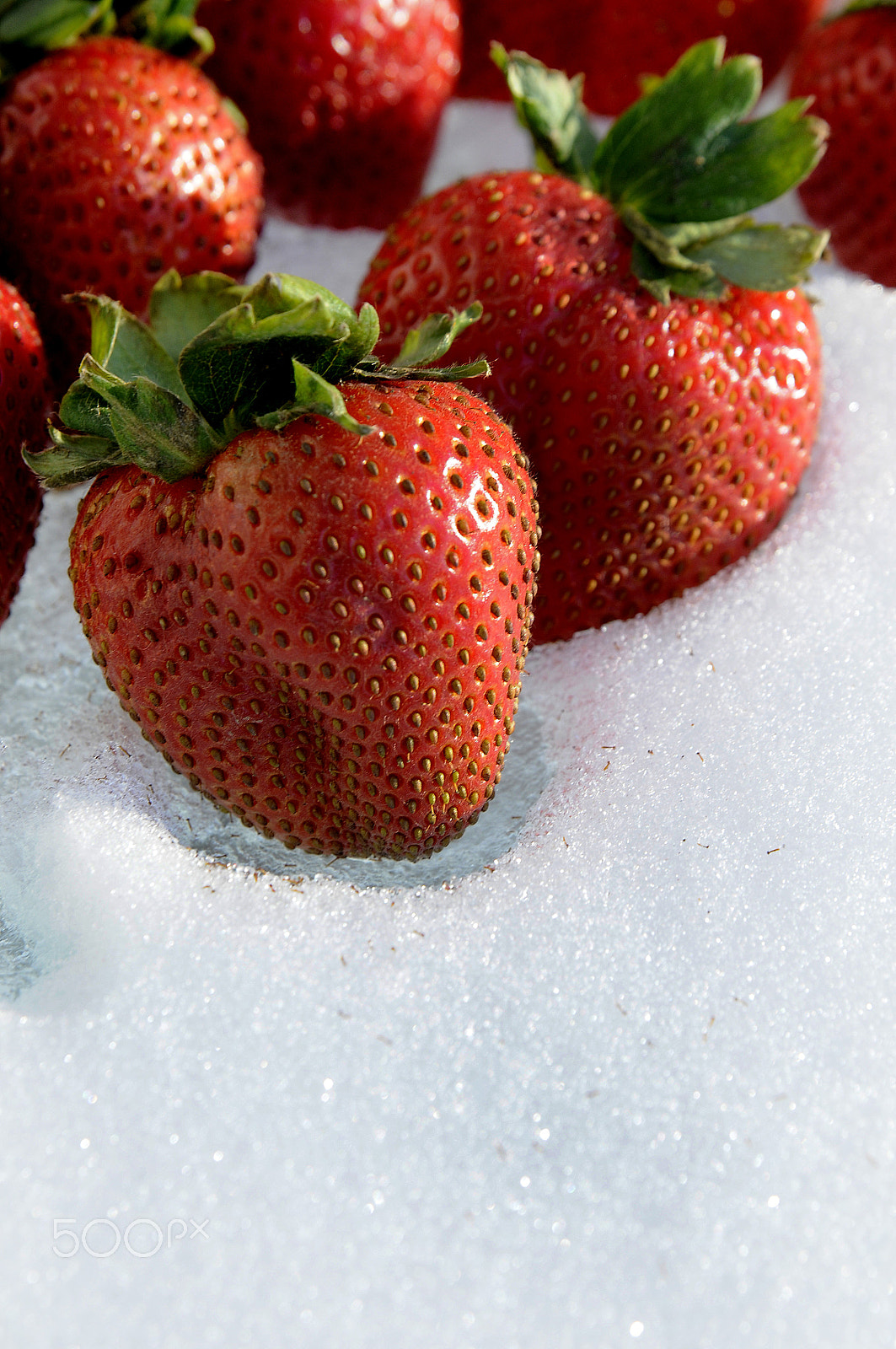 Nikon AF Nikkor 24-85mm F2.8-4D IF sample photo. Strawberries -7 photography