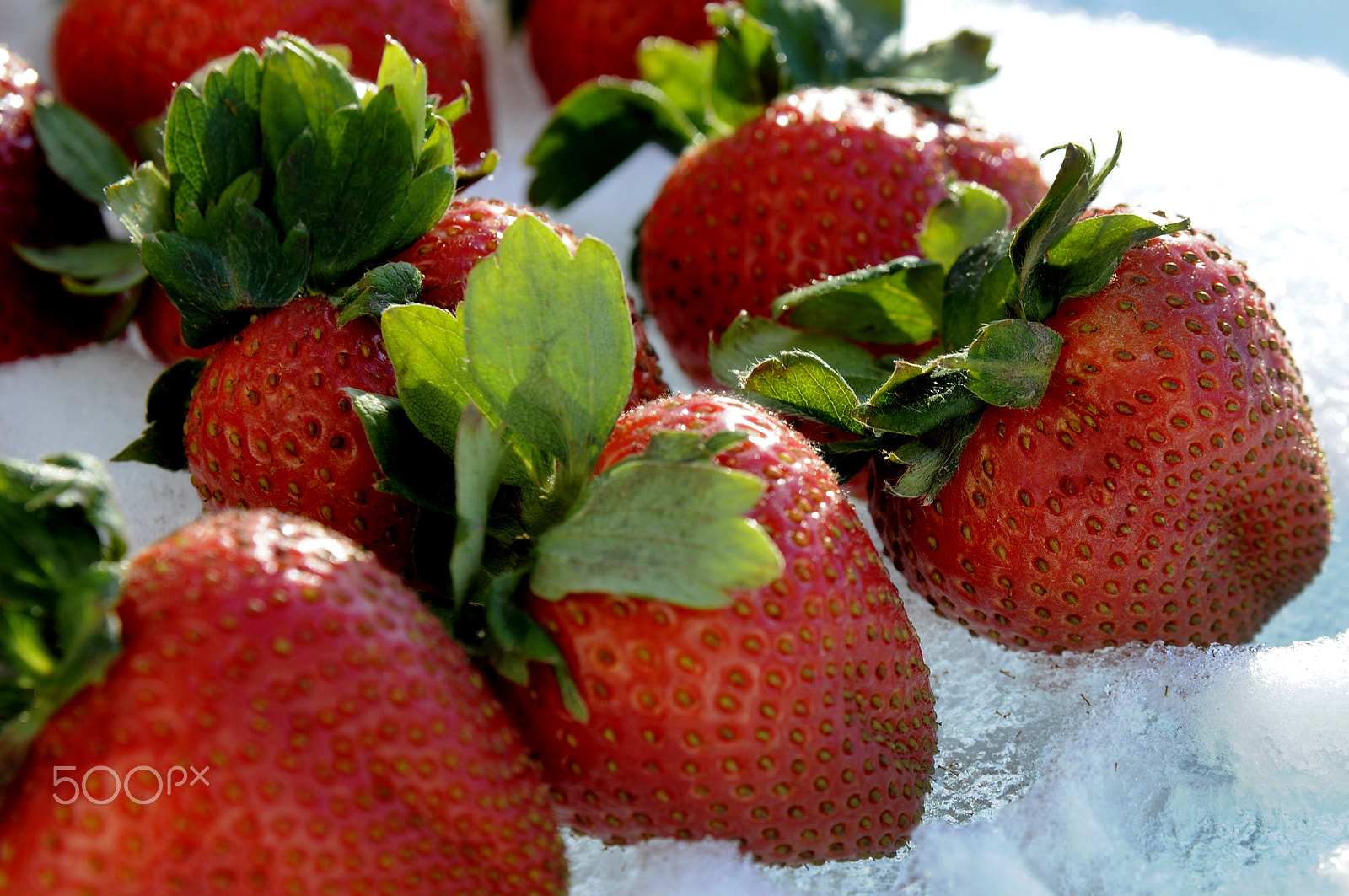 Nikon AF Nikkor 24-85mm F2.8-4D IF sample photo. Strawberries -8 photography
