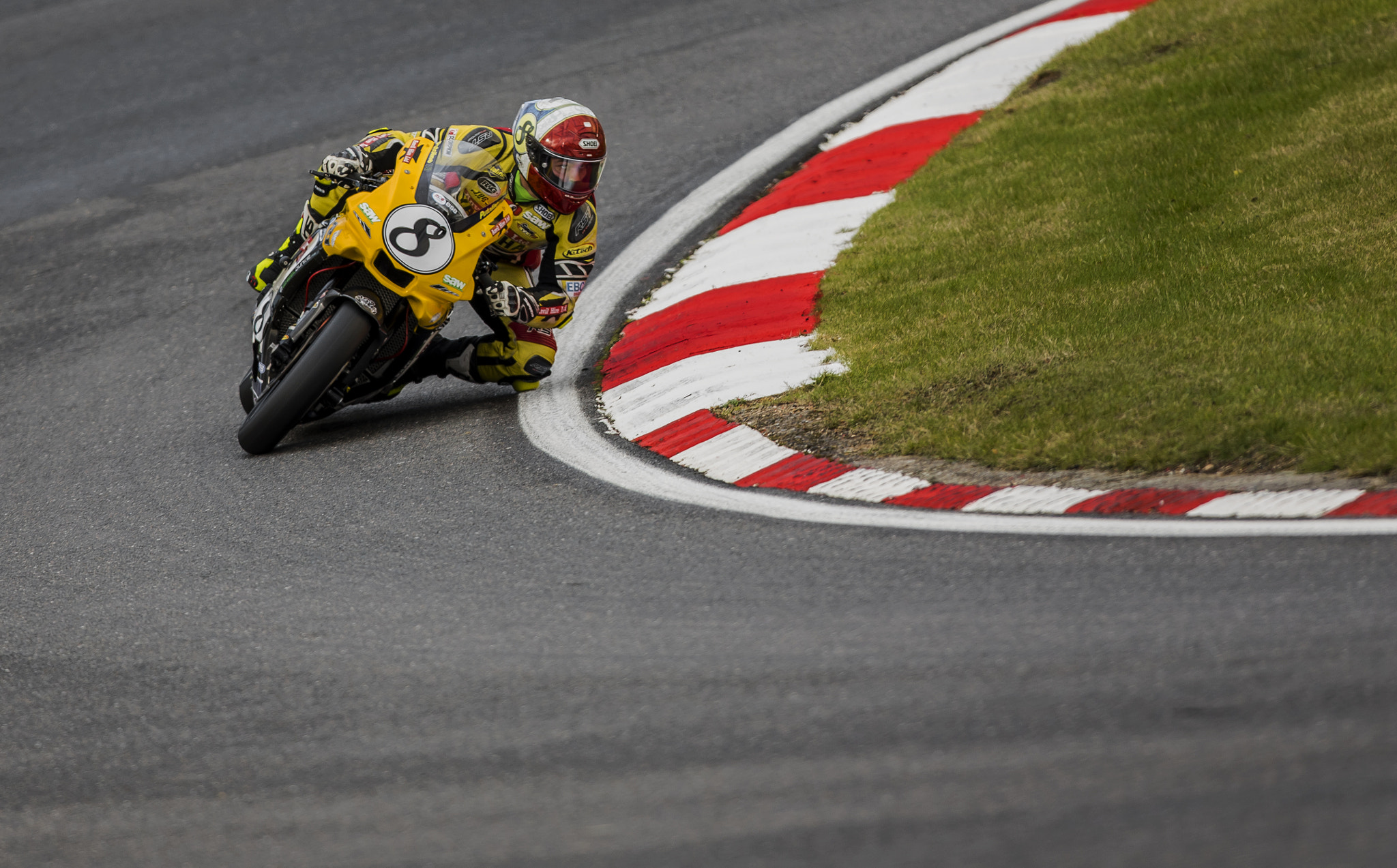 Canon EF 300mm F2.8L IS II USM sample photo. Shaun winfield photography