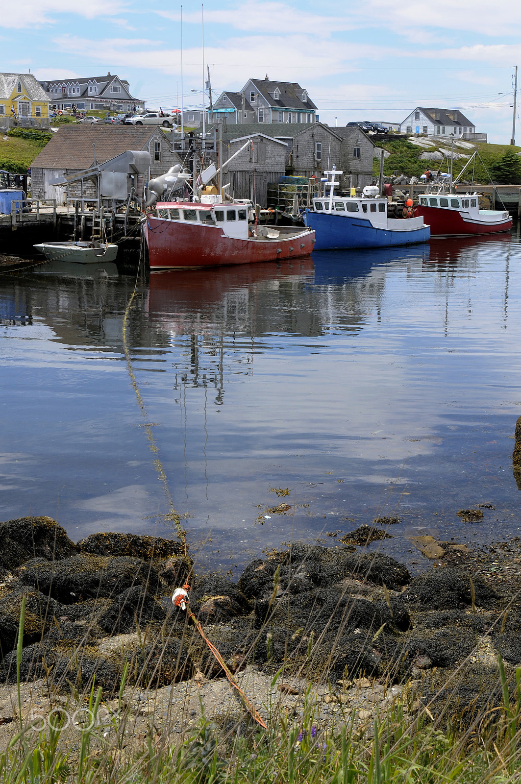 Nikon AF Nikkor 24-85mm F2.8-4D IF sample photo. Across the cove photography