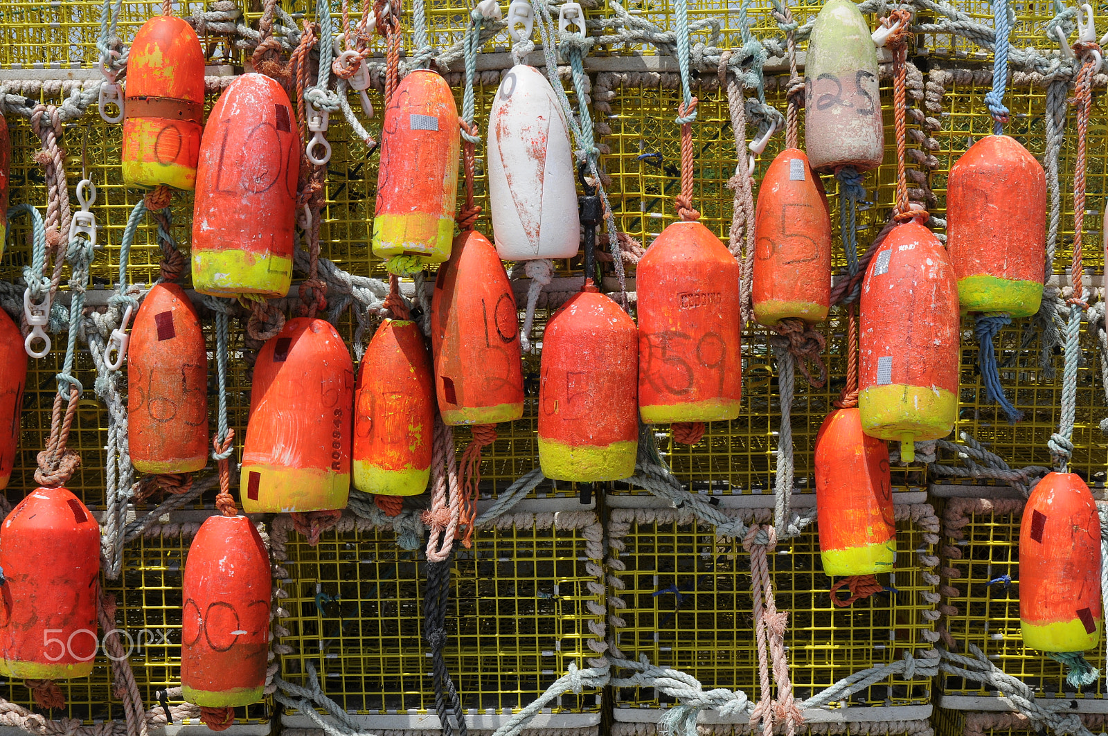 Nikon AF Nikkor 24-85mm F2.8-4D IF sample photo. Buoys -2 photography