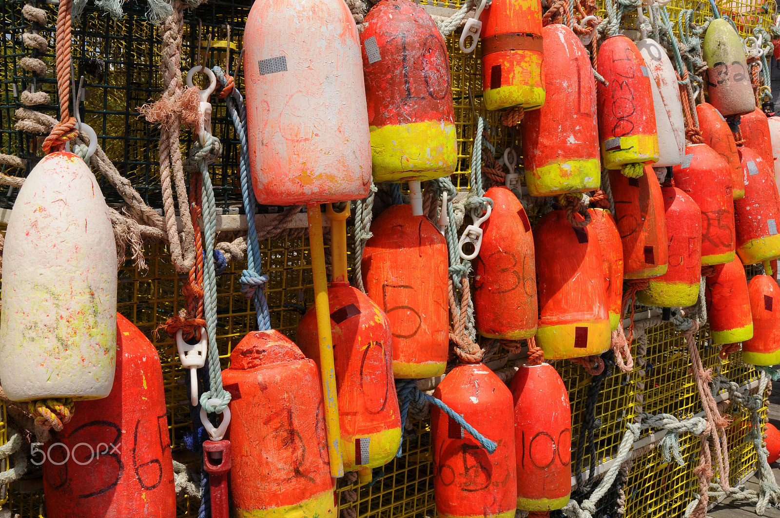 Nikon AF Nikkor 24-85mm F2.8-4D IF sample photo. Buoys photography