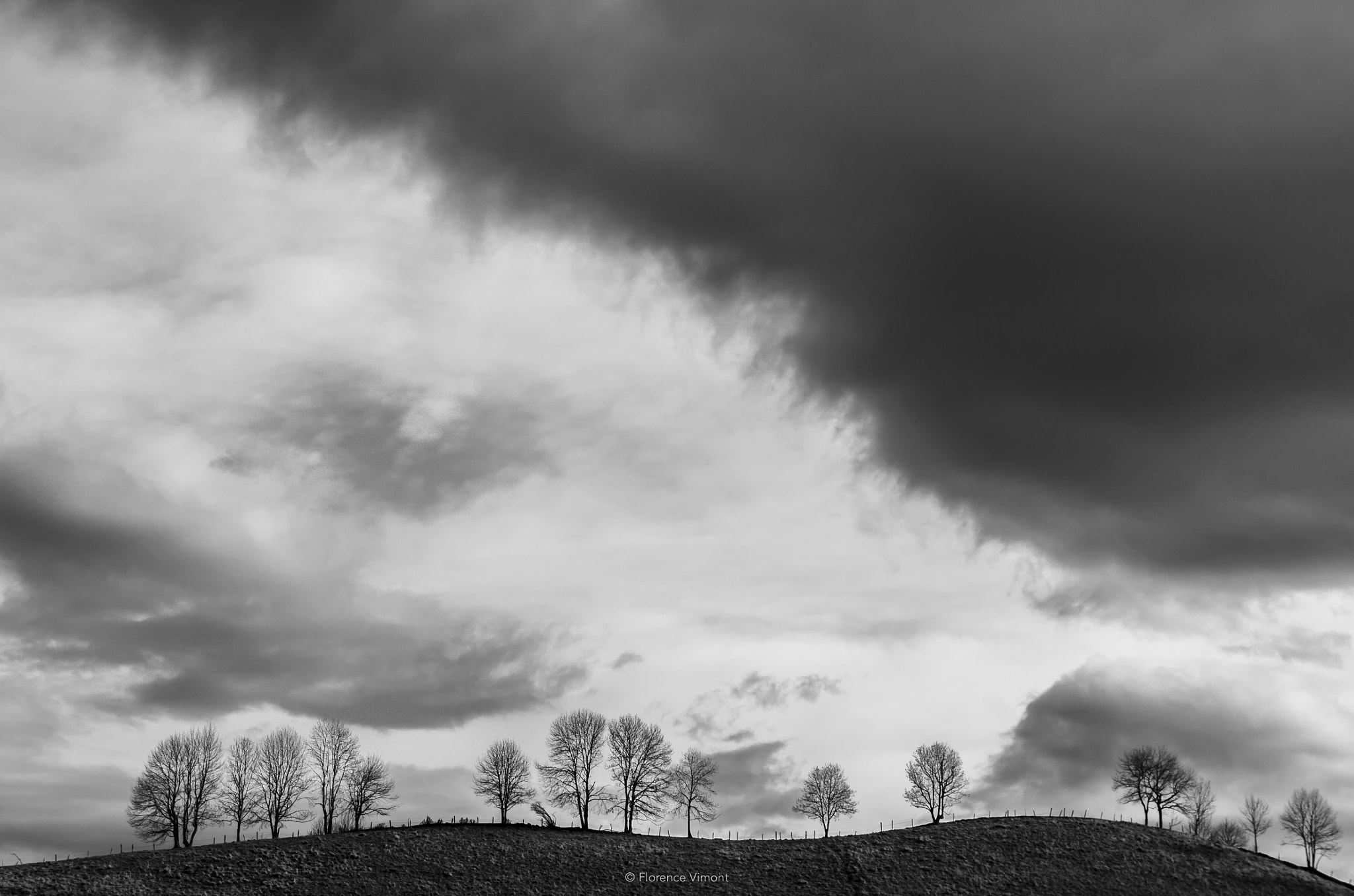 Sigma 18-200mm F3.5-6.3 II DC OS HSM sample photo. Ces petits riens... photography