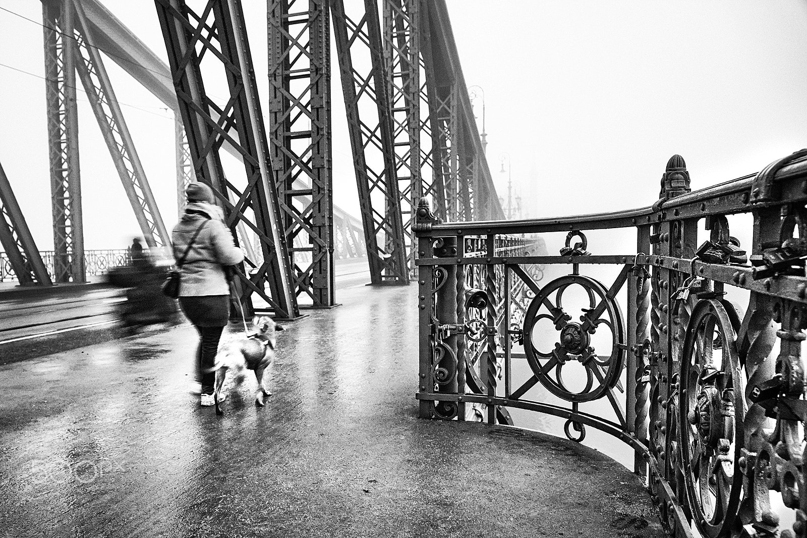 Sony Alpha a99 sample photo. Budapest, 2016 photography
