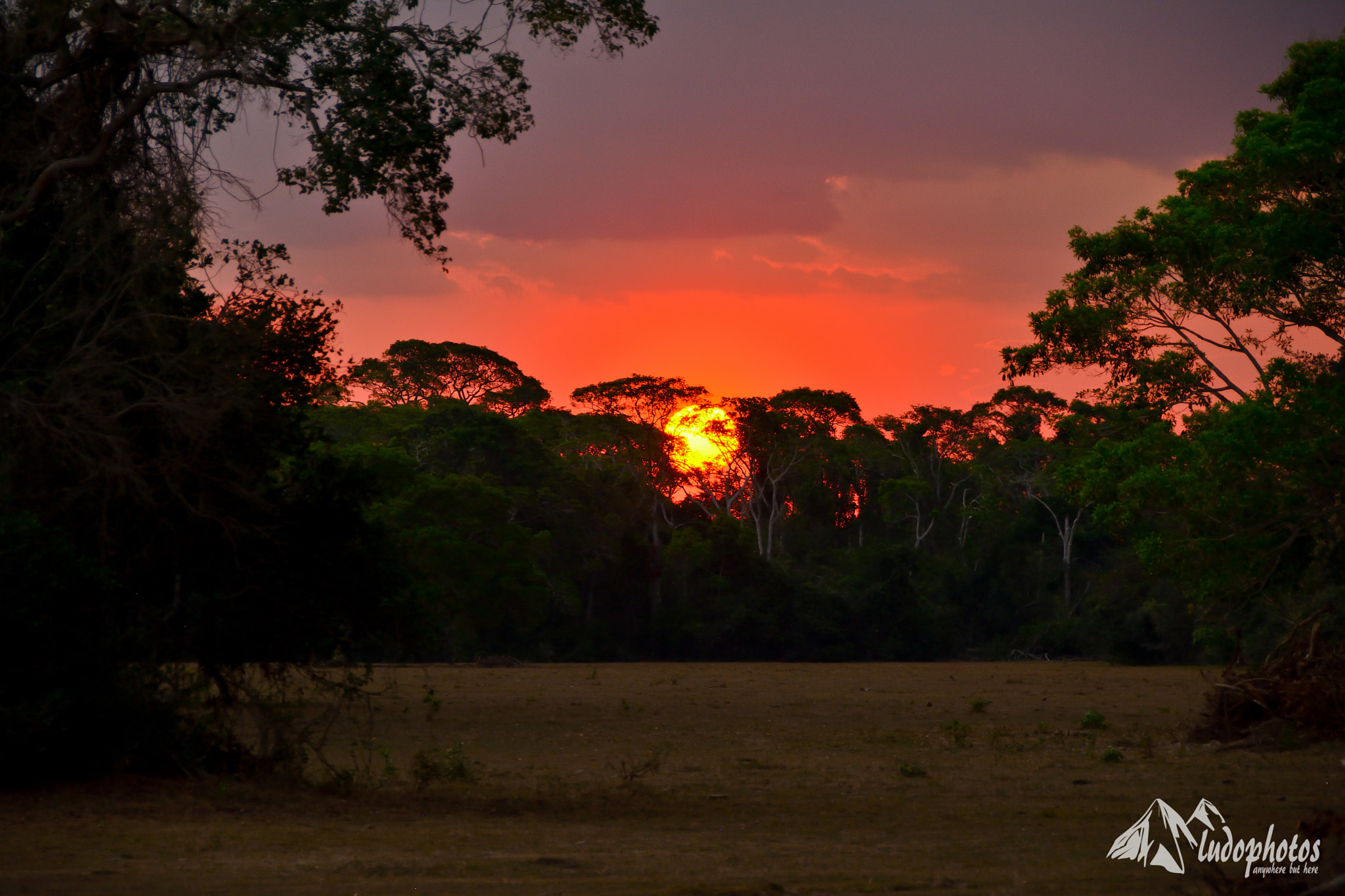 Nikkor 500mm f/4 P ED IF sample photo. Pantanal sunset photography