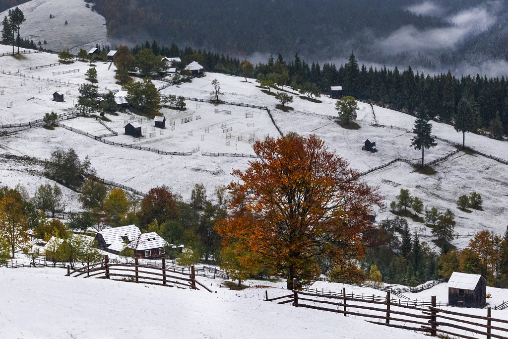 Cristi Milla 15 Poze Superbe Din Bucovina Romania Fotografii De