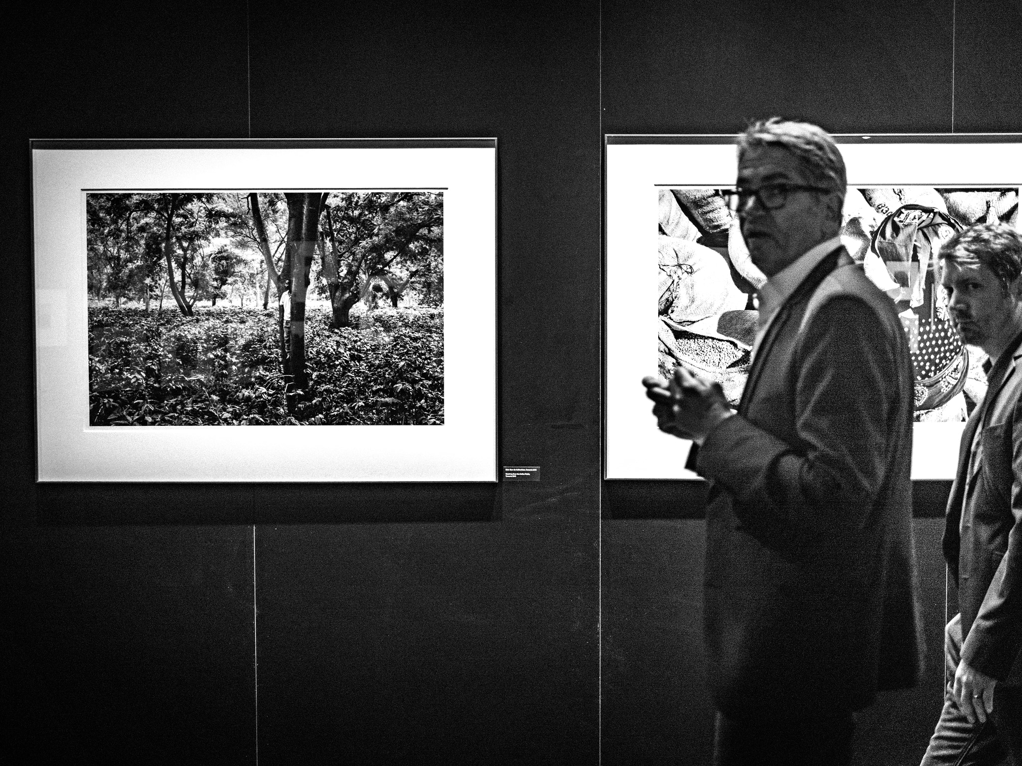 Panasonic Lumix DMC-GX8 + Panasonic Leica DG Summilux 25mm F1.4 II ASPH sample photo. Leica gallery @ photokina 2016 photography