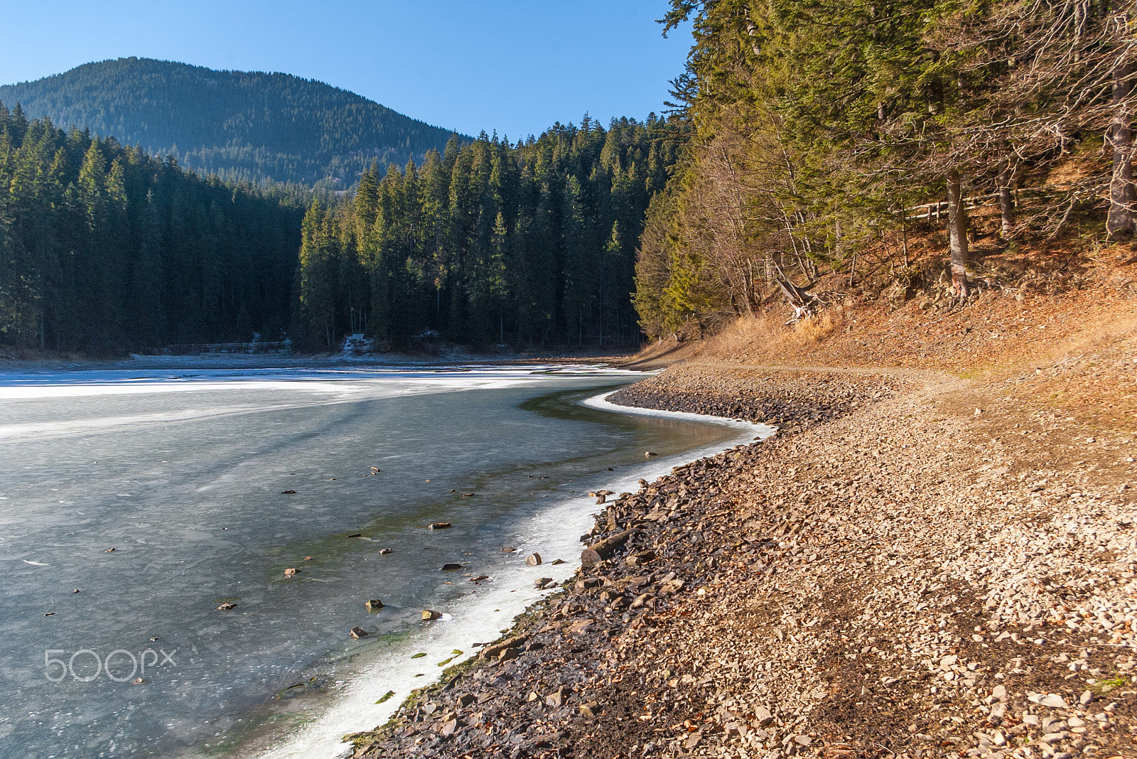 Pentax *ist DL sample photo. A coast synevir lake. synevyrska reserve, transcarpathian region, ukraine. photography