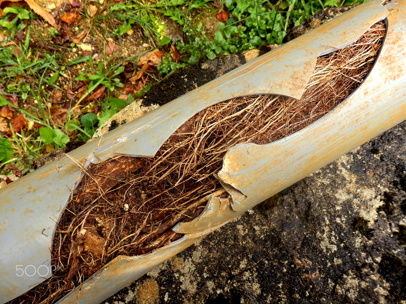Olympus SZ-31MR sample photo. Blocked drainage pipe photography