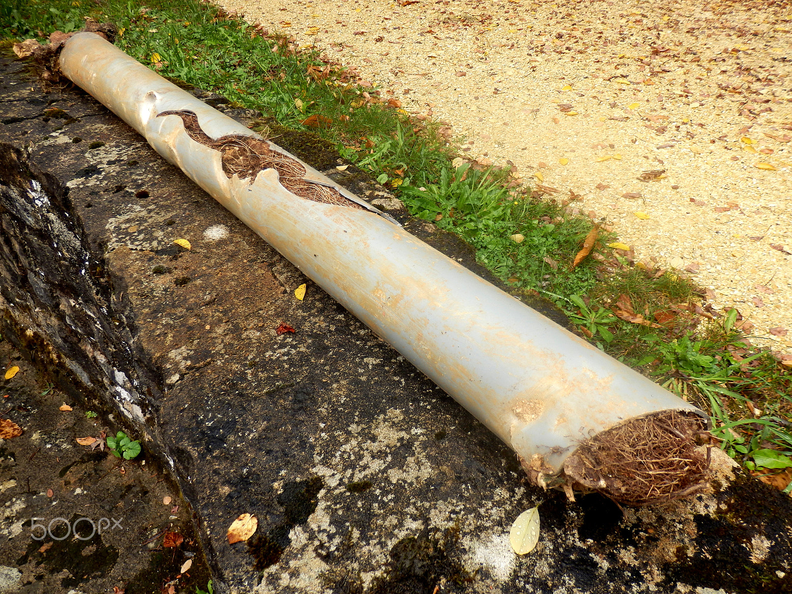 Olympus SZ-31MR sample photo. Blocked drainage pipe photography