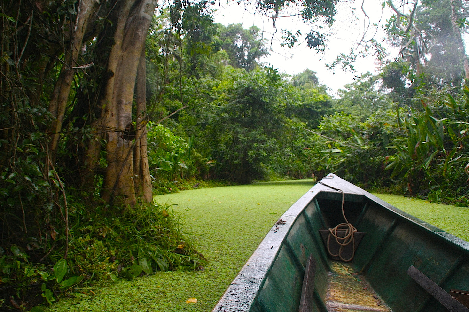 Canon EOS 40D sample photo. I'm gliding here photography