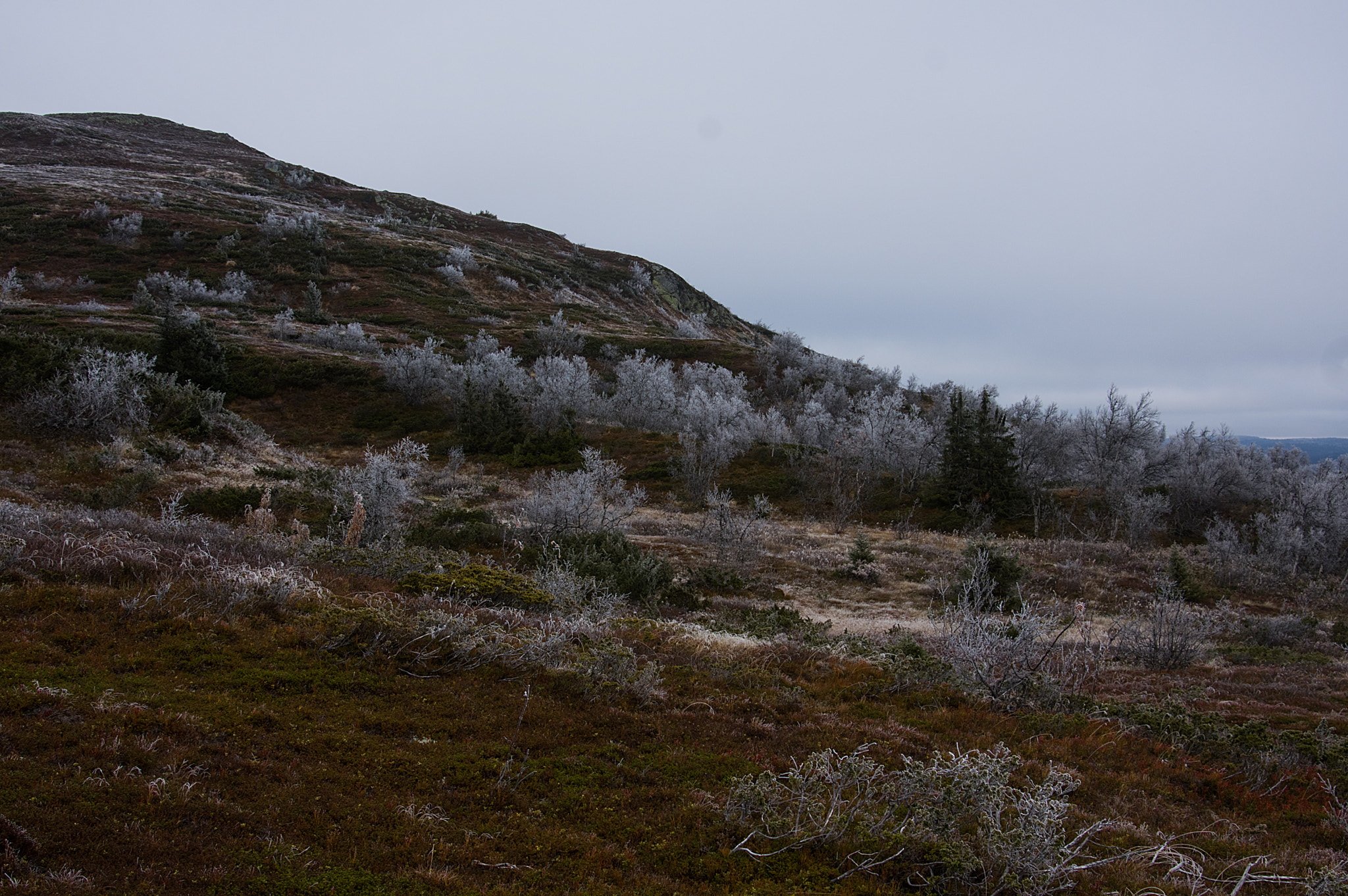 Pentax K-3 sample photo. Winter is coming photography