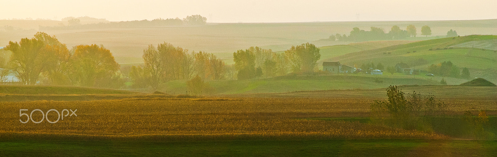 AF Zoom-Nikkor 80-200mm f/2.8 ED sample photo. Morning mist photography