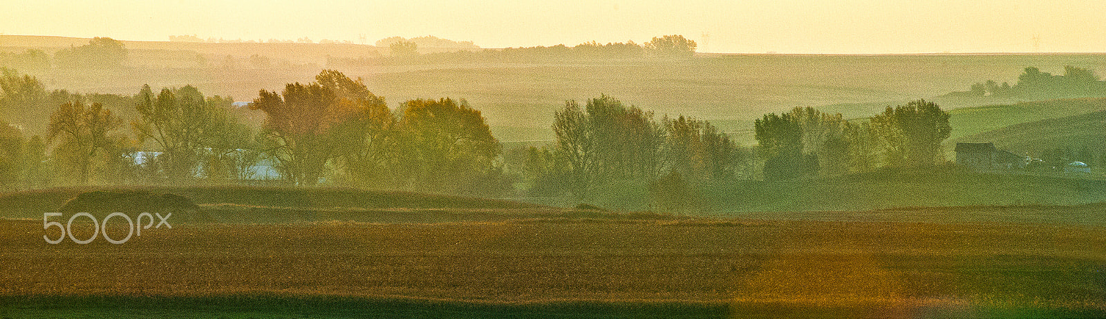 AF Zoom-Nikkor 80-200mm f/2.8 ED sample photo. Morning mist photography