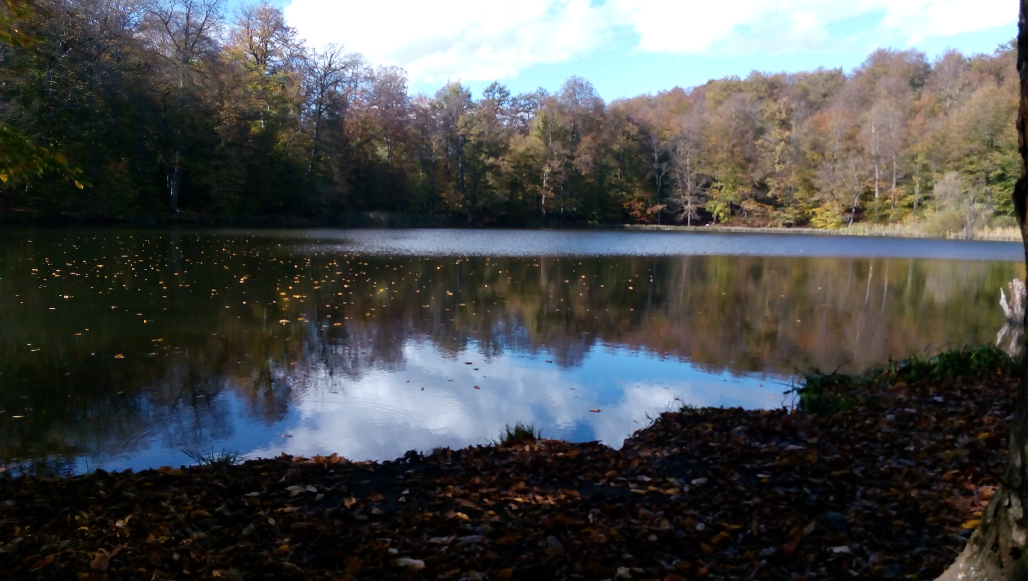 Lenovo P70-A sample photo