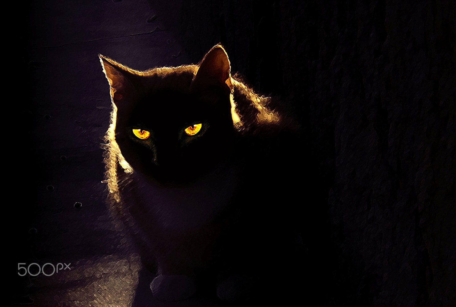 Fujifilm FinePix SL240 sample photo. Cat in darkness photography