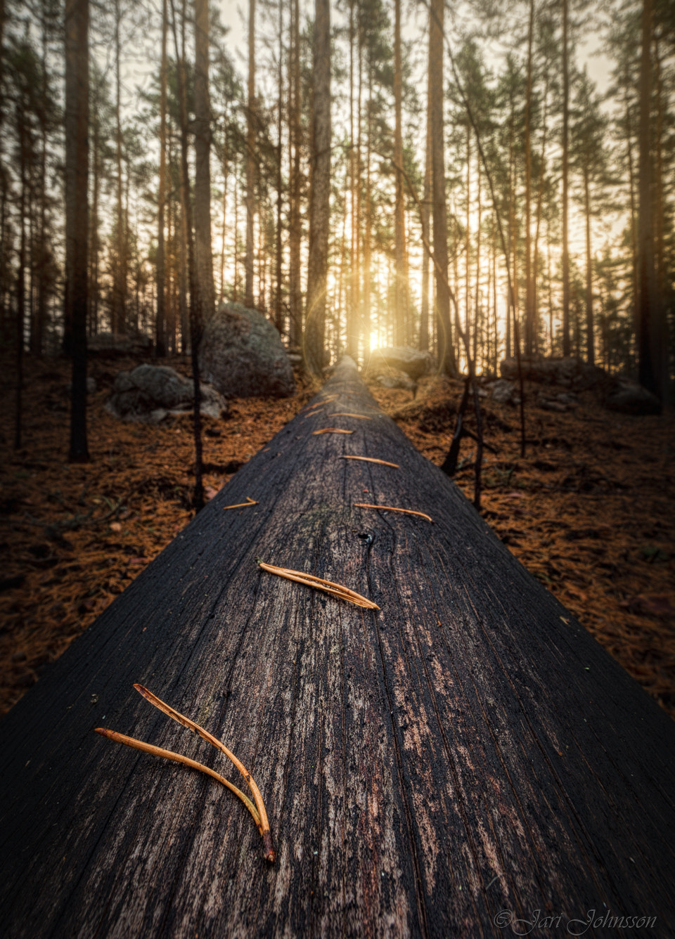 Canon EF 14mm F2.8L II USM sample photo. Highway to heaven photography