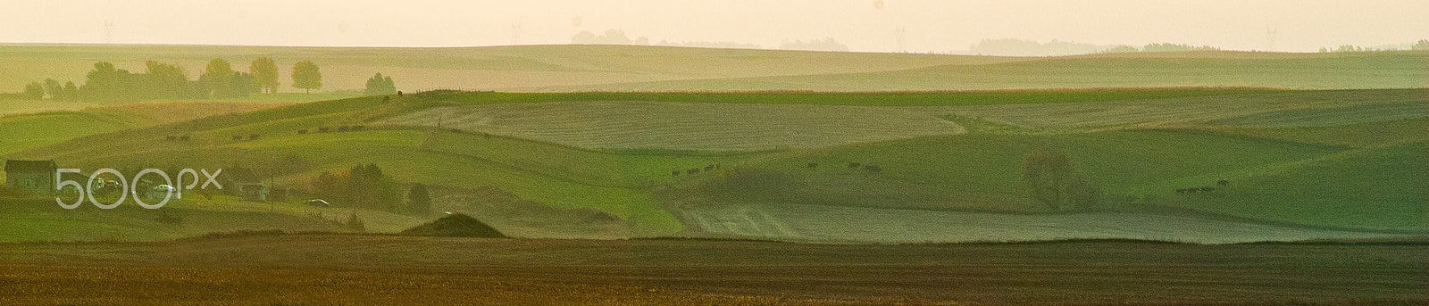 AF Zoom-Nikkor 80-200mm f/2.8 ED sample photo. Morning mist photography