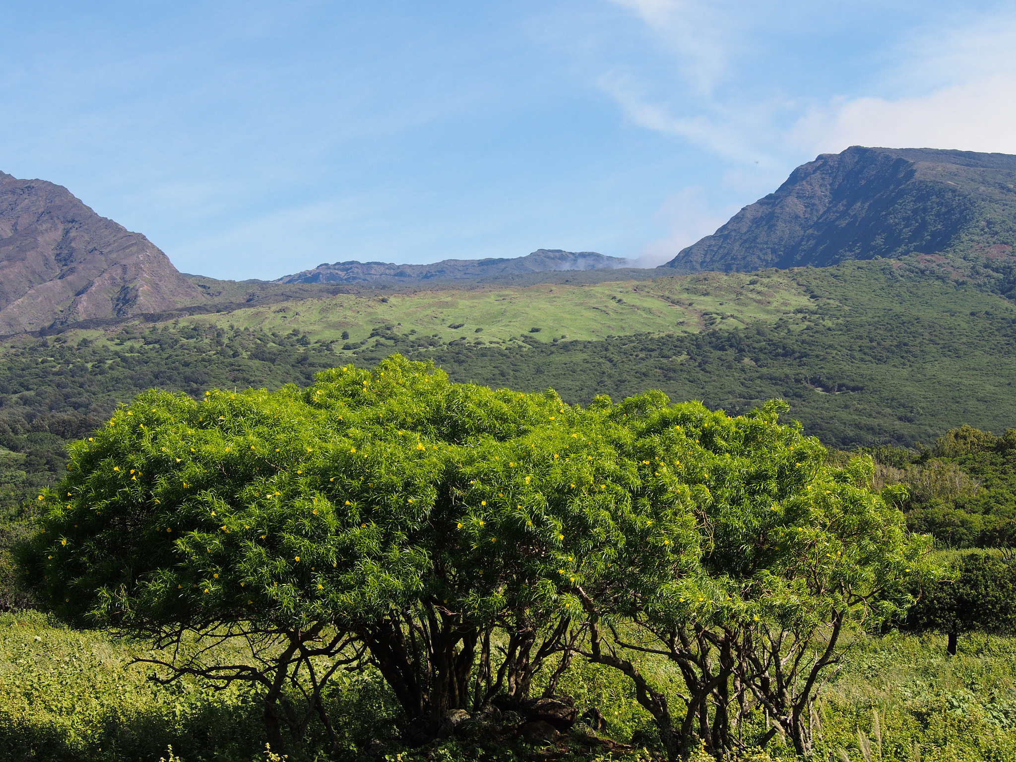 Olympus PEN E-PL5 sample photo. Kaupo gap on maui photography