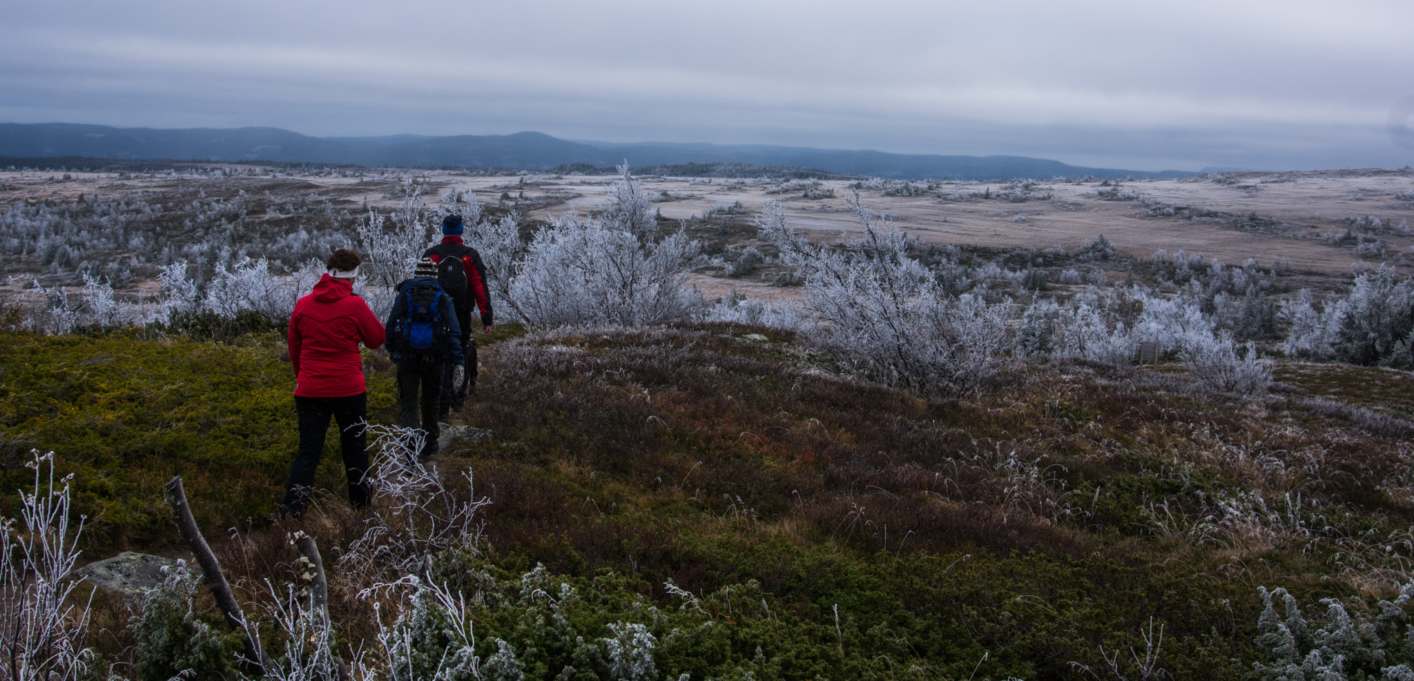 Pentax K-3 sample photo. Hike in the autumn mountains photography