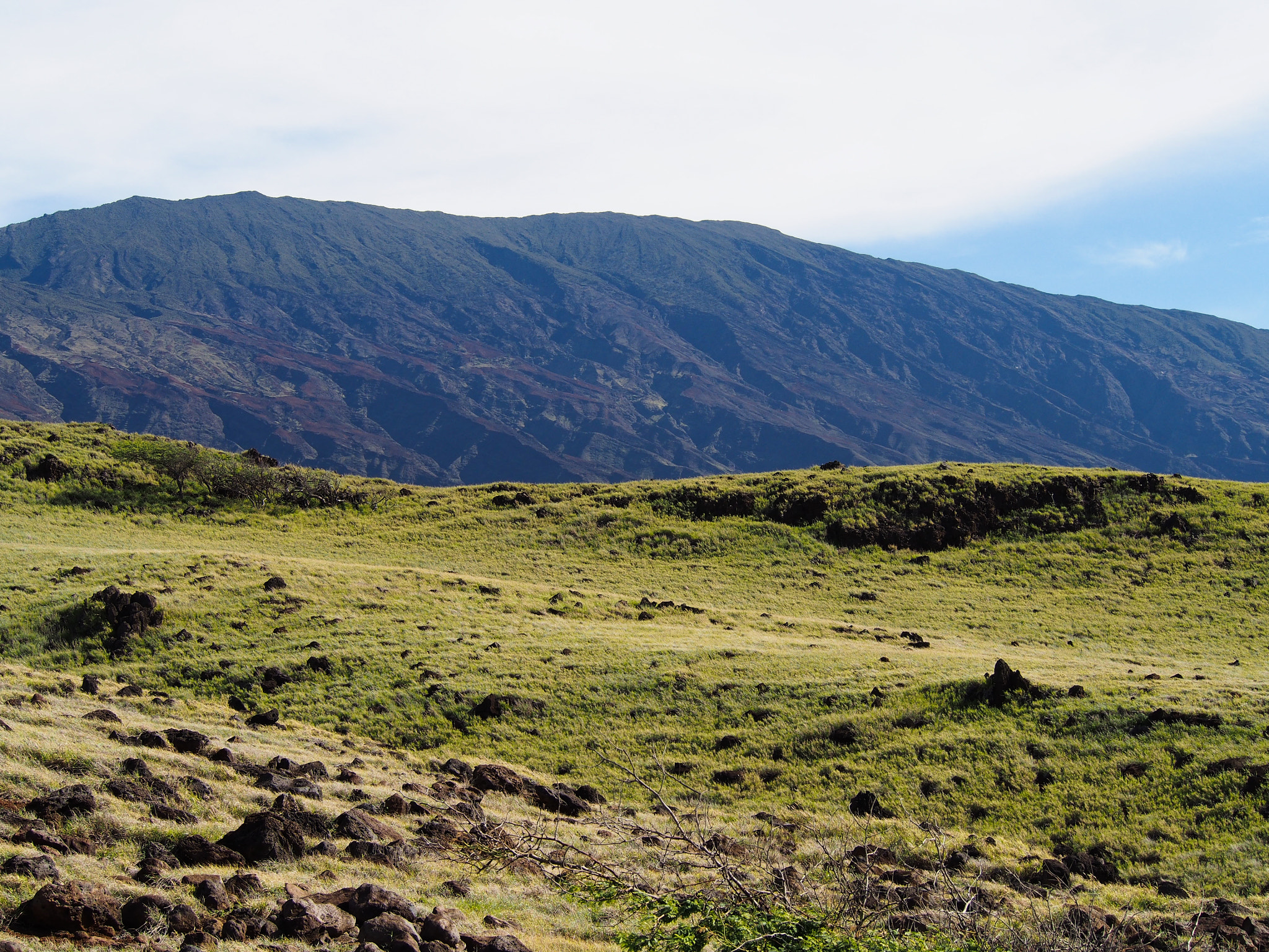 Olympus PEN E-PL5 sample photo. The wild side of haleakala on maui photography